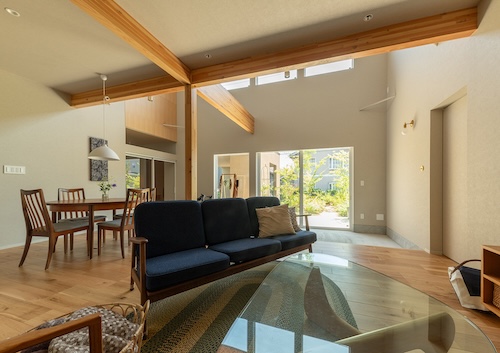 CASE767 ウチソトのドマ