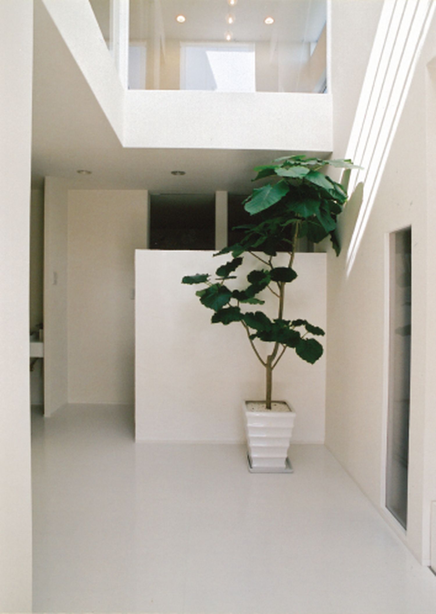 注文住宅・デザイン住宅建築実例_玄関