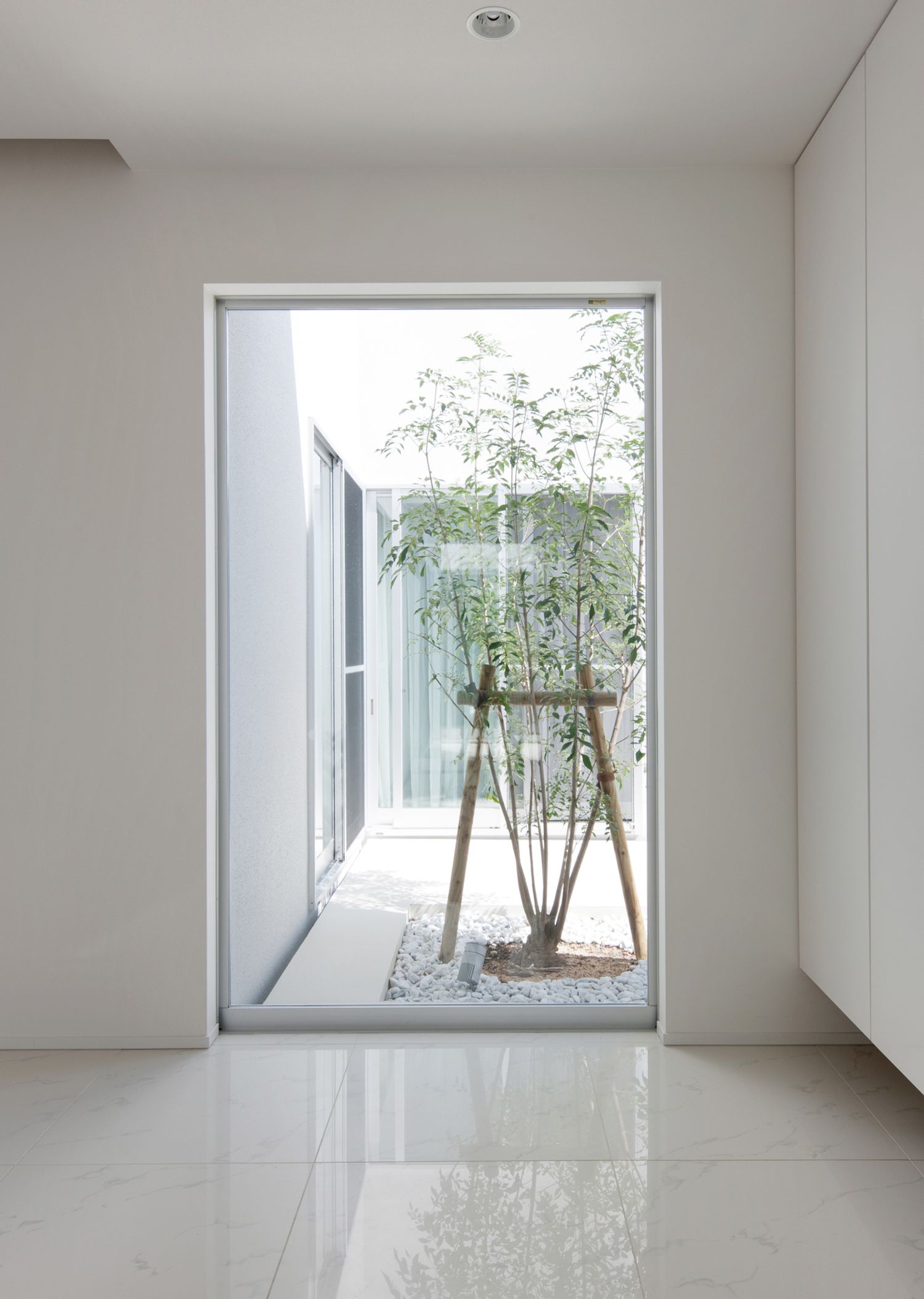 注文住宅・中庭・シンボルツリー・中庭が見える窓