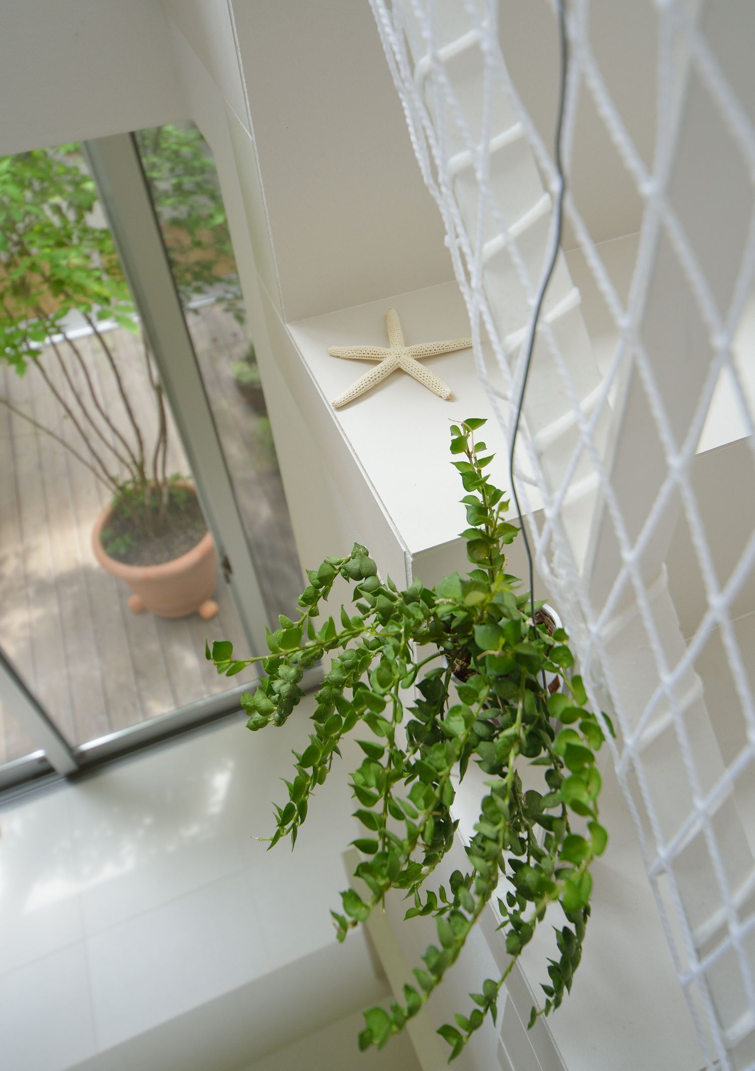 観葉植物が飾られた吹き抜けのLDK・デザイン住宅