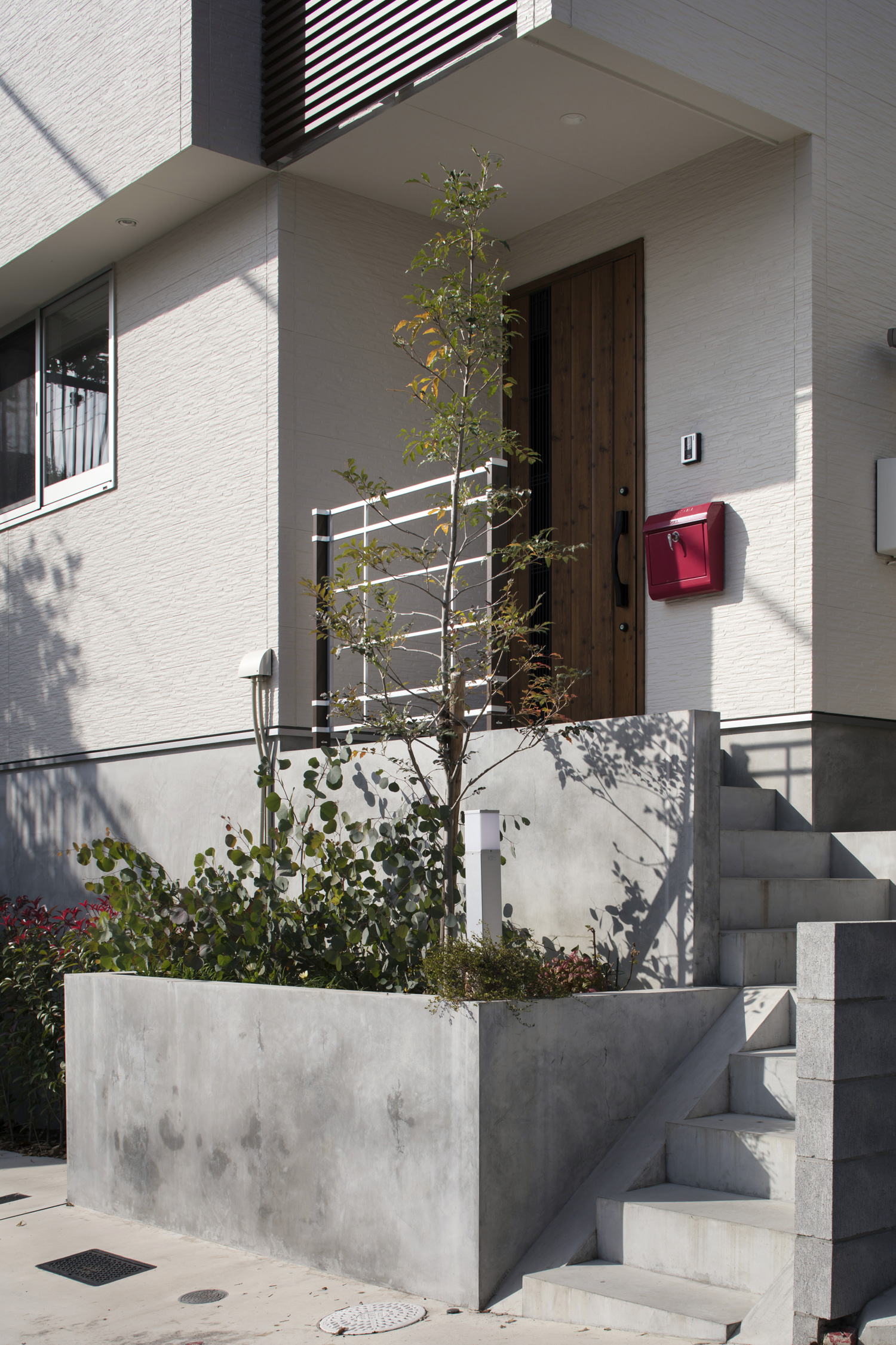 コンクリートの階段の先にある木の扉の玄関・デザイン住宅 注文住宅・デザイン住宅建築実例_『CASE640 nature』_外観