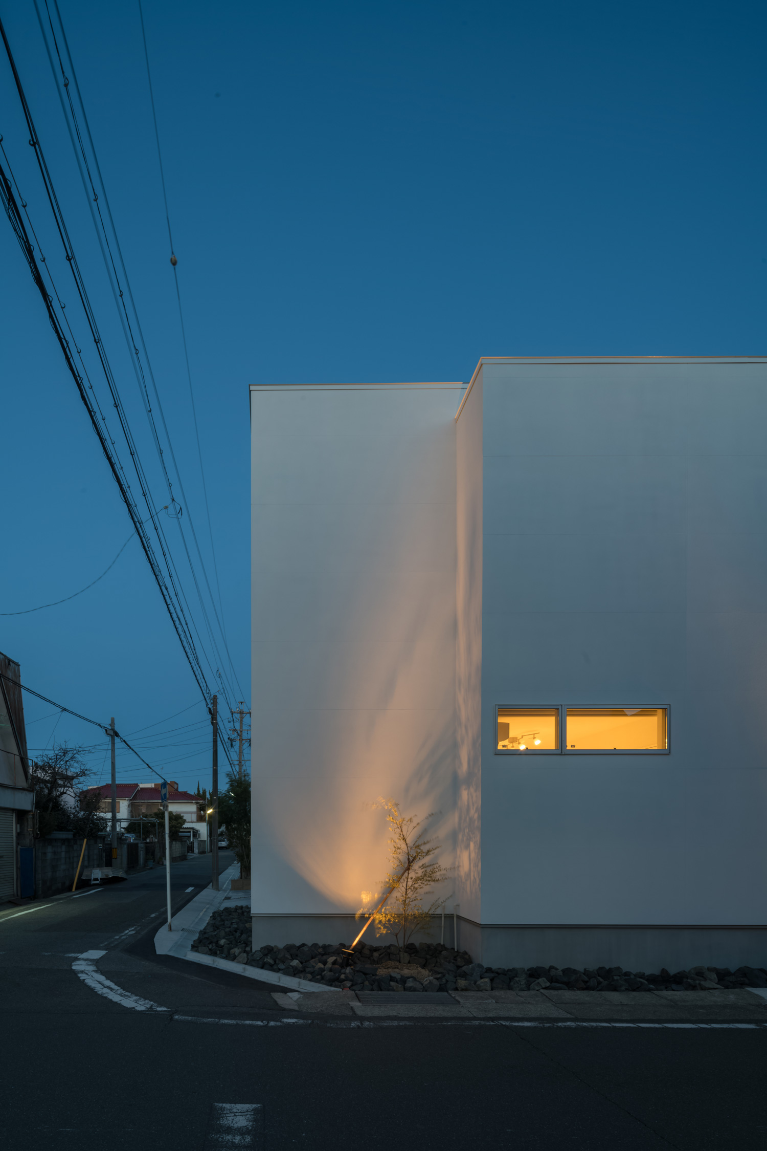 照明に照らされた植栽が白い外壁に映された住宅・デザイン住宅 注文住宅・デザイン住宅建築実例_『CASE645 フレームハウス』_外観