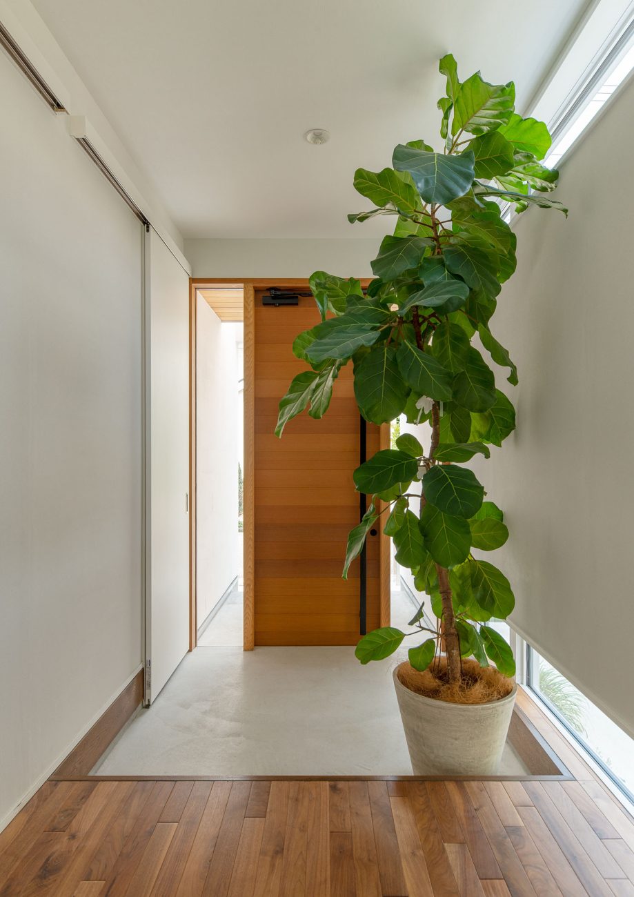 玄関扉の両脇がガラスになっている、観葉植物のある玄関・デザイン住宅 注文住宅・デザイン住宅建築実例_『CASE663 シークエンス』_玄関