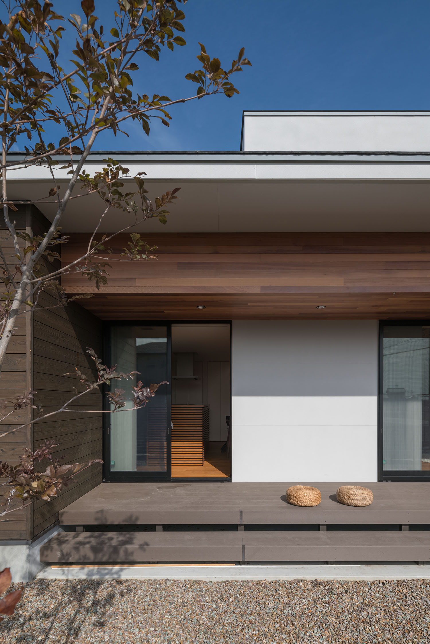 シンボルツリー越しにテラスが見える様子・デザイン住宅 注文住宅・デザイン住宅建築実例_『CASE671 実りの平屋』_外観