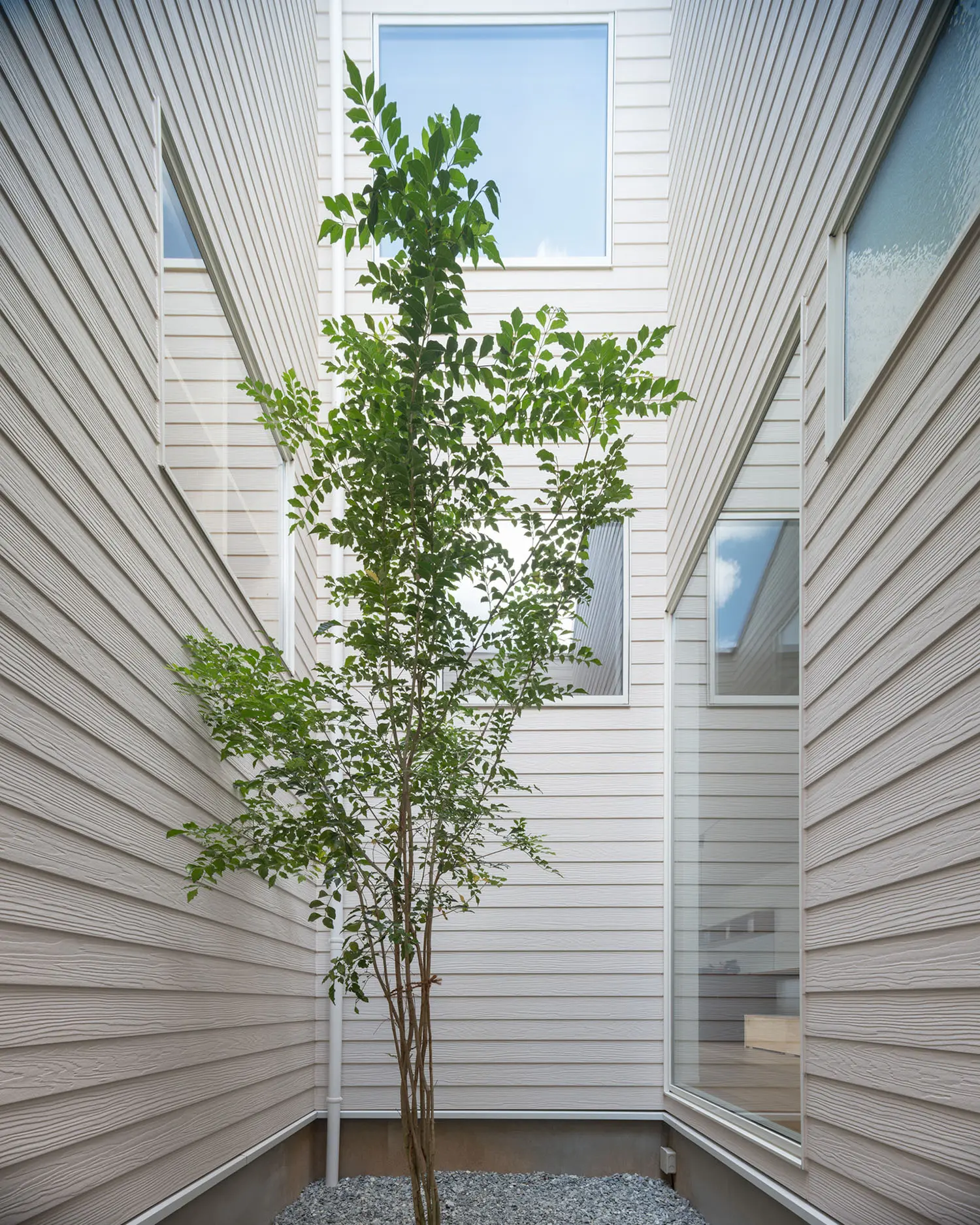 シンボルツリーが植えられたコンパクトな中庭