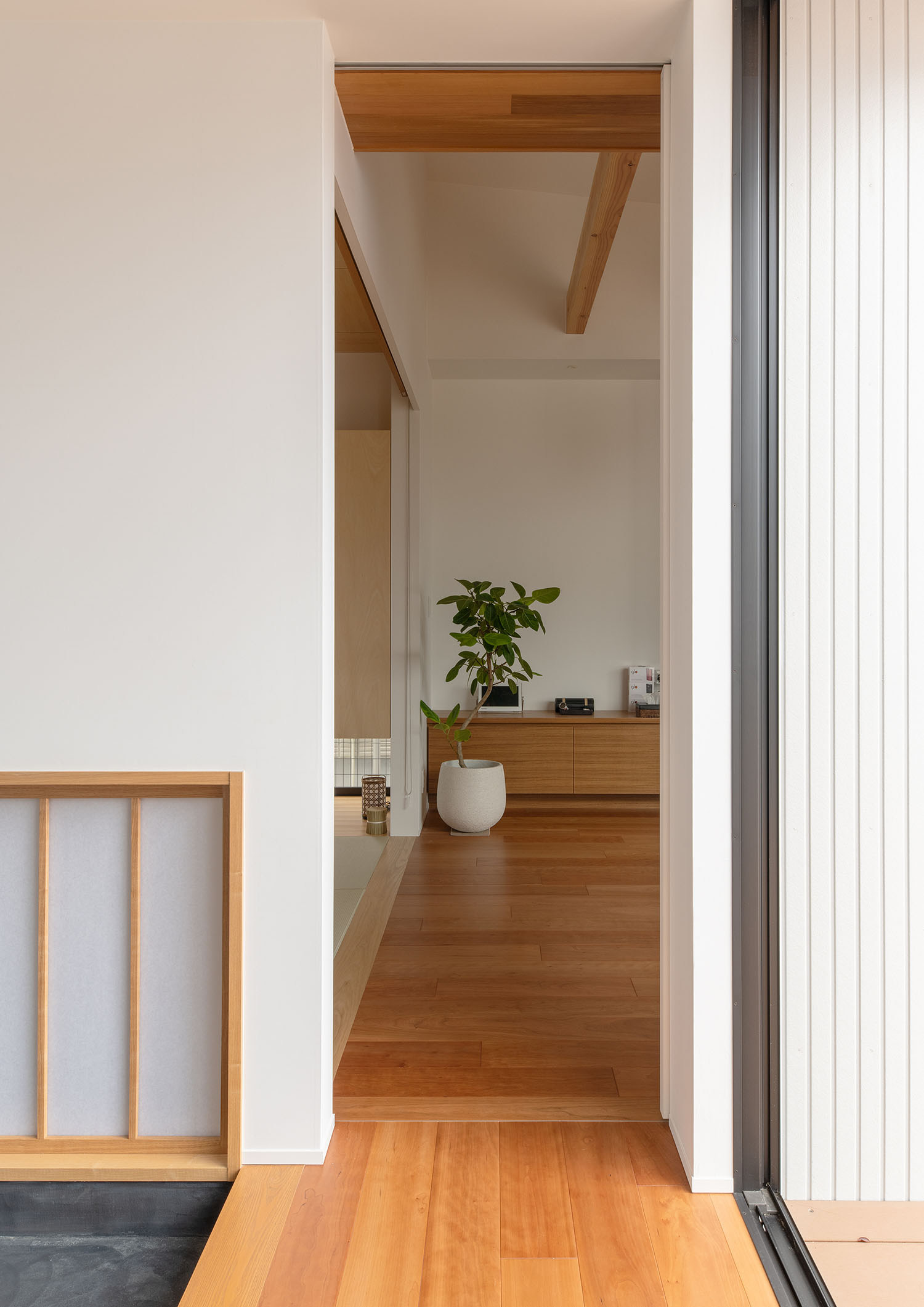 観葉植物のある室内へと繋がるフローリングの廊下・デザイン住宅 注文住宅・デザイン住宅建築実例_『CASE683  丘の上のハウス』_玄関