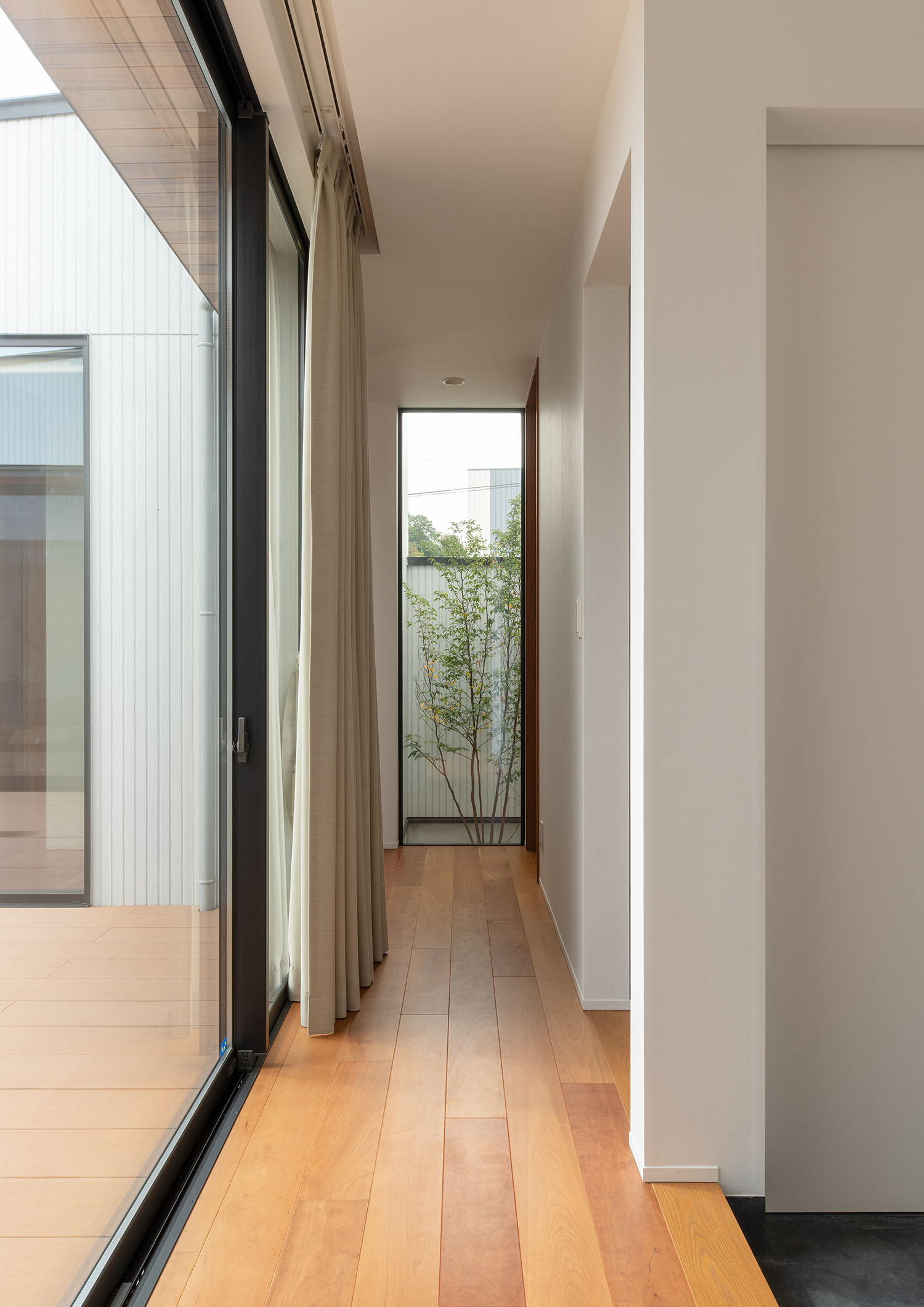 フローリングの廊下の突き当りに植栽が見える様子・デザイン住宅 注文住宅・デザイン住宅建築実例_『CASE683  丘の上のハウス』_廊下