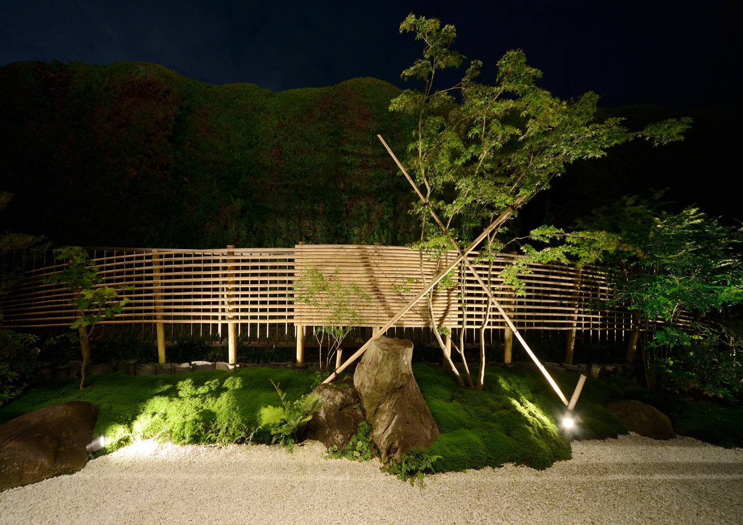 ライトアップされた植栽がある和風でおしゃれな石庭・デザイン住宅