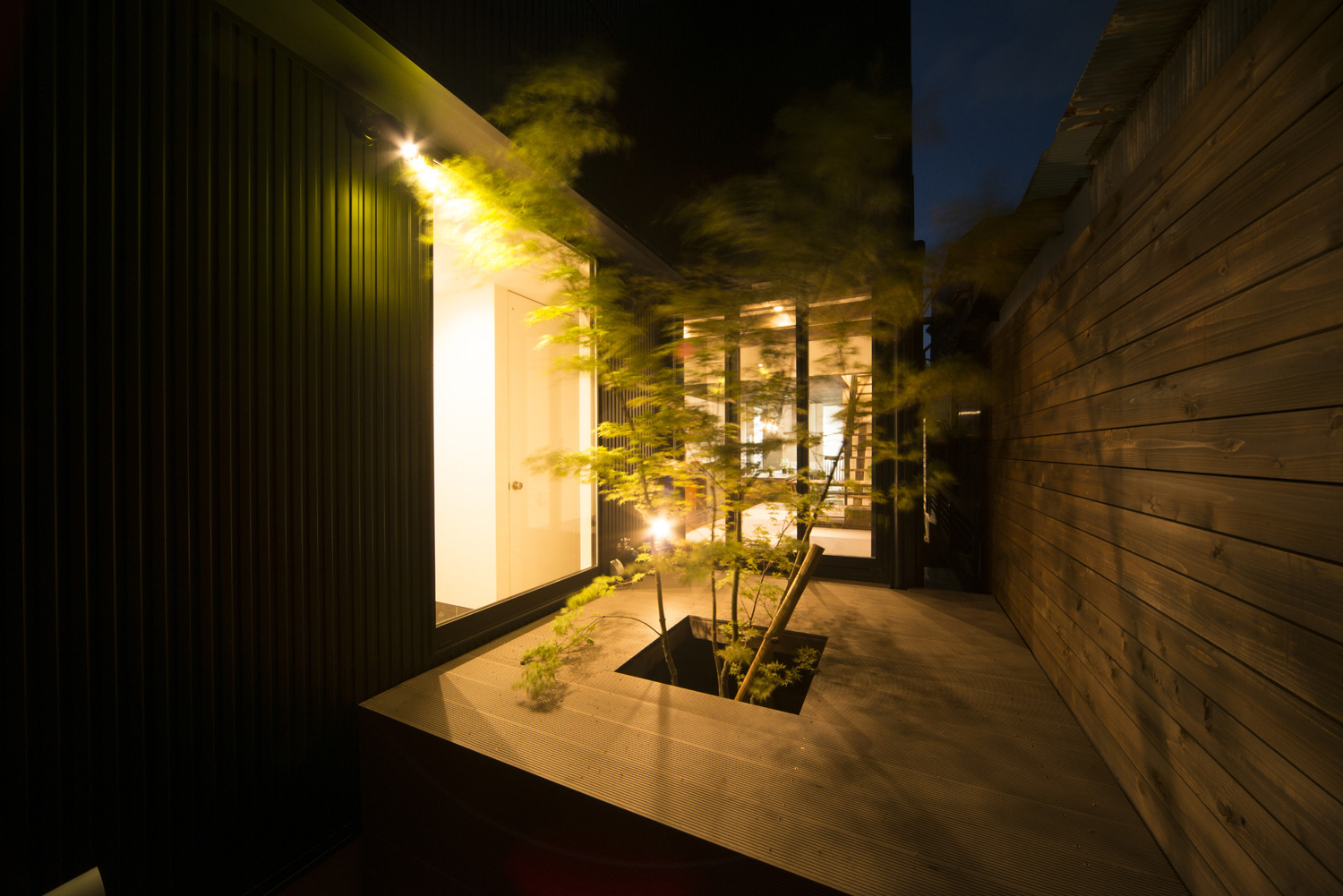 シンボルツリーがライトアップされたプライベートな中庭・デザイン住宅