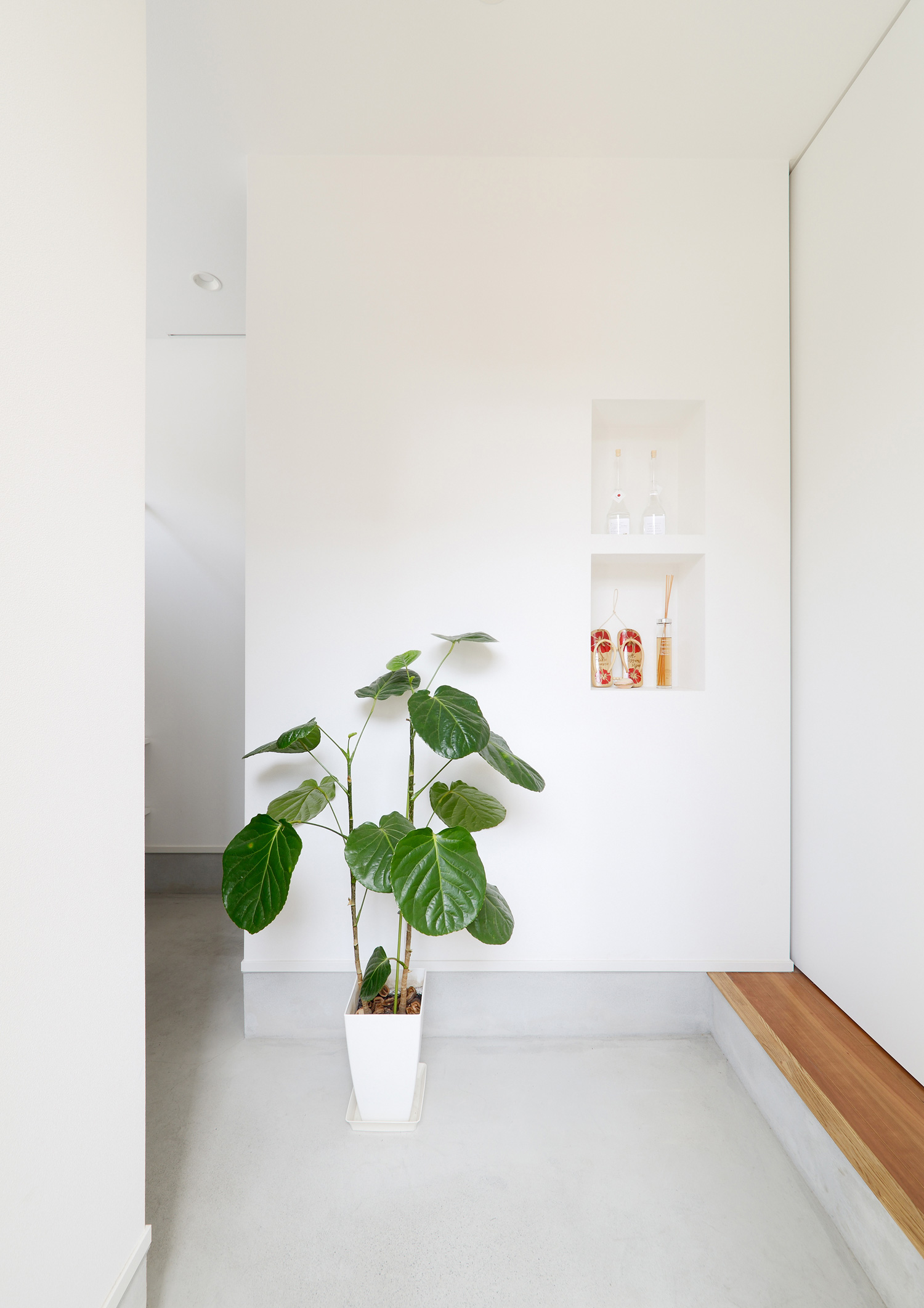 注文住宅・デザイン住宅建築実例_玄関