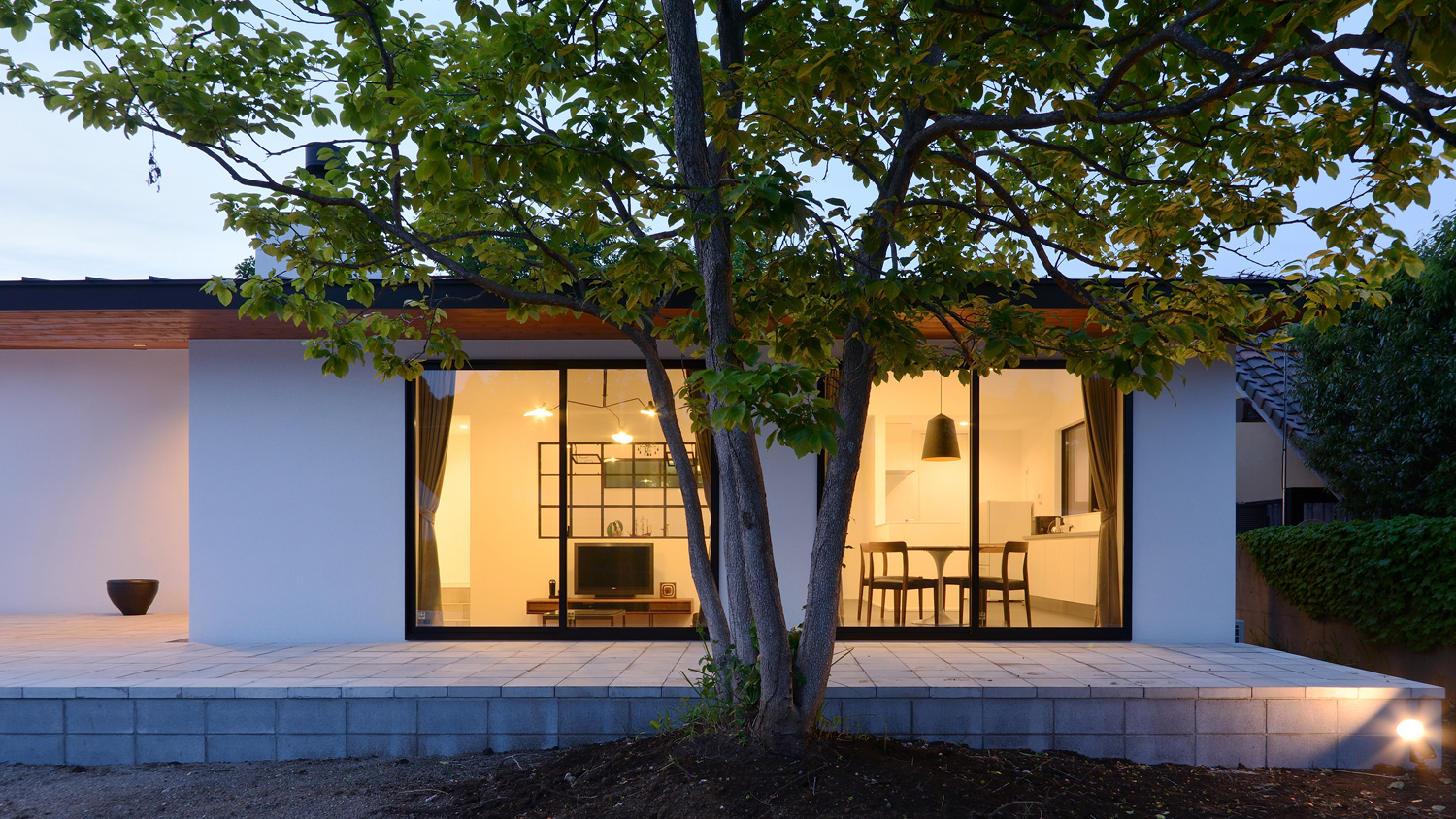 大きなシンボルツリーのある庭付きの、大きな窓のある平屋・デザイン住宅