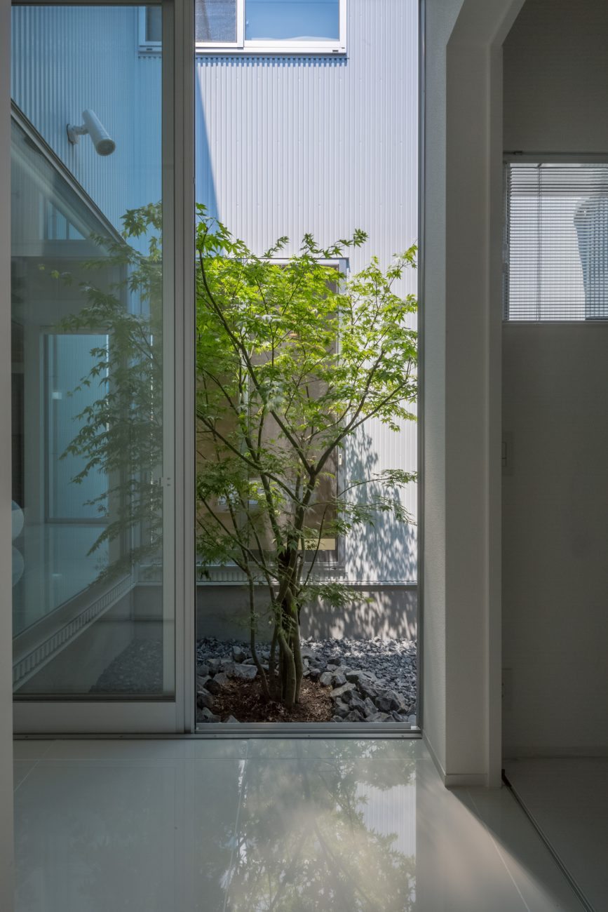 窓から植栽のある中庭が見えるシンプルな廊下・デザイン住宅