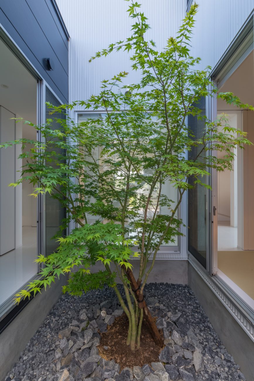植栽が中心にあるコンパクトな中庭・デザイン住宅
