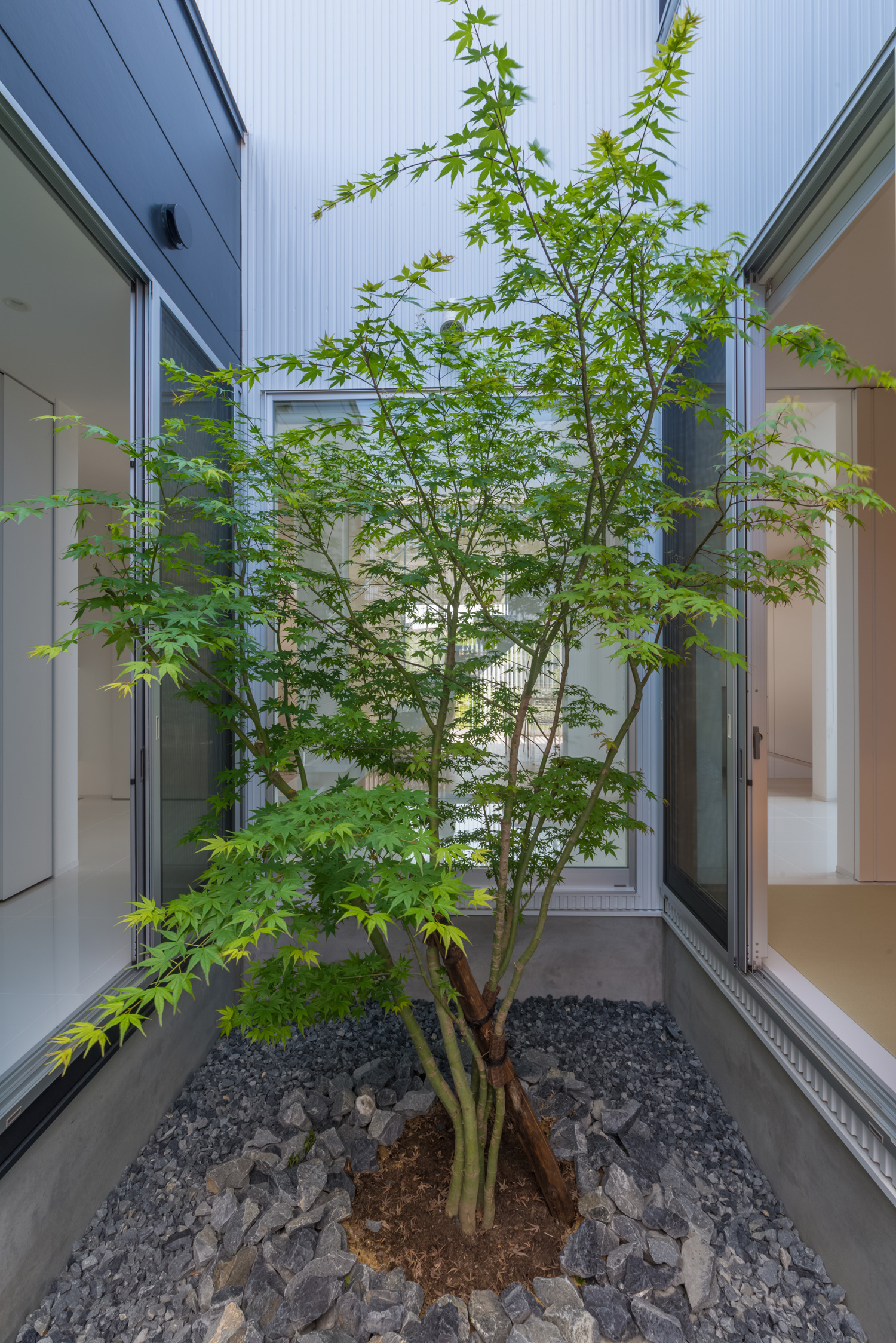 植栽が中心にあるコンパクトな中庭・デザイン住宅