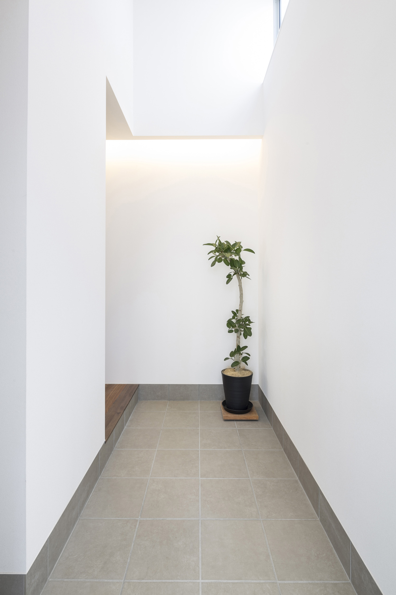 壁際に間接照明を取り付け、観葉植物を置いたシンプルでおしゃれな玄関・デザイン住宅 注文住宅・デザイン住宅建築実例_『CASE439 HAT』_玄関