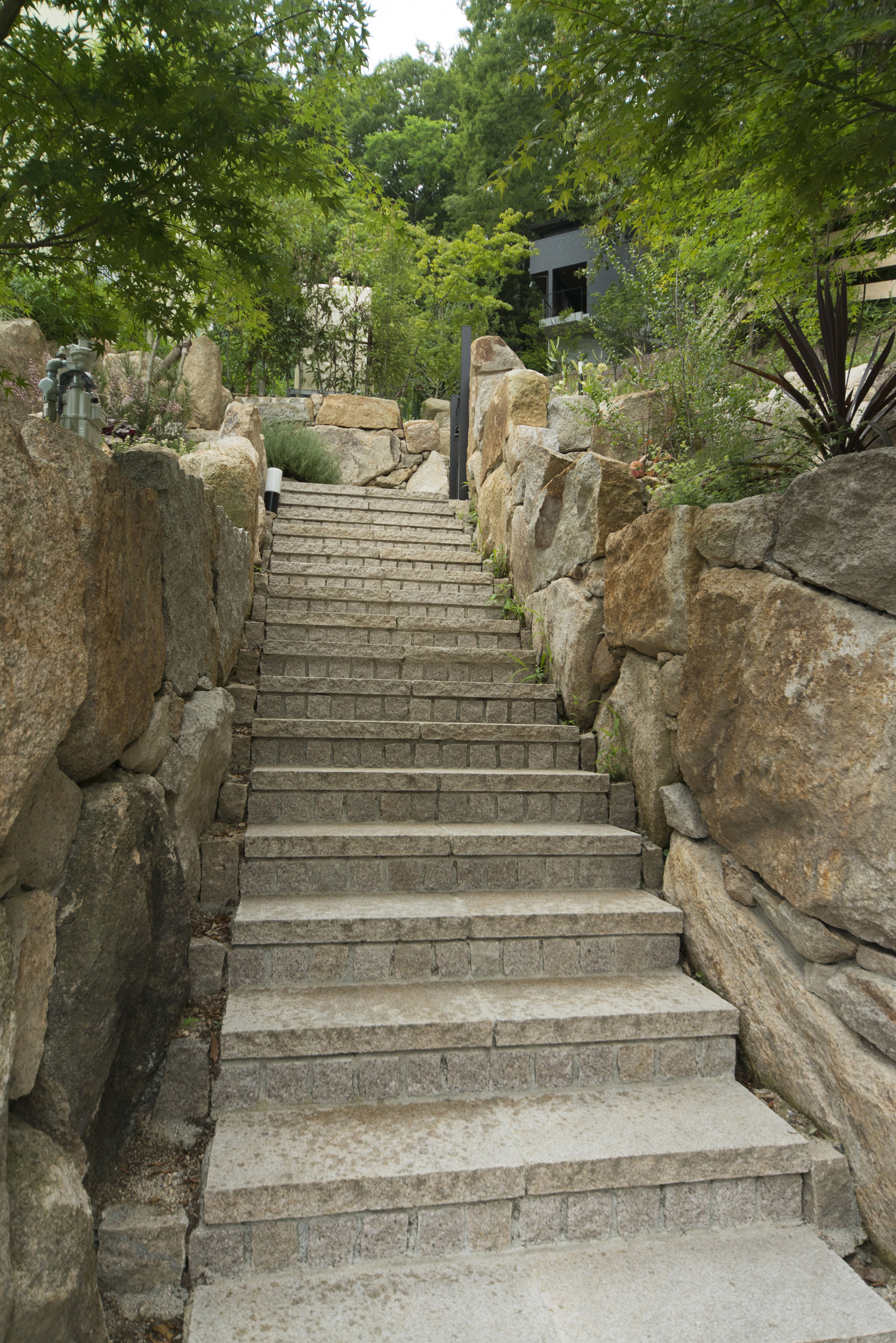 注文住宅・デザイン住宅建築実例_外観 注文住宅・デザイン住宅建築実例_『CASE458 森の中の家』_外観