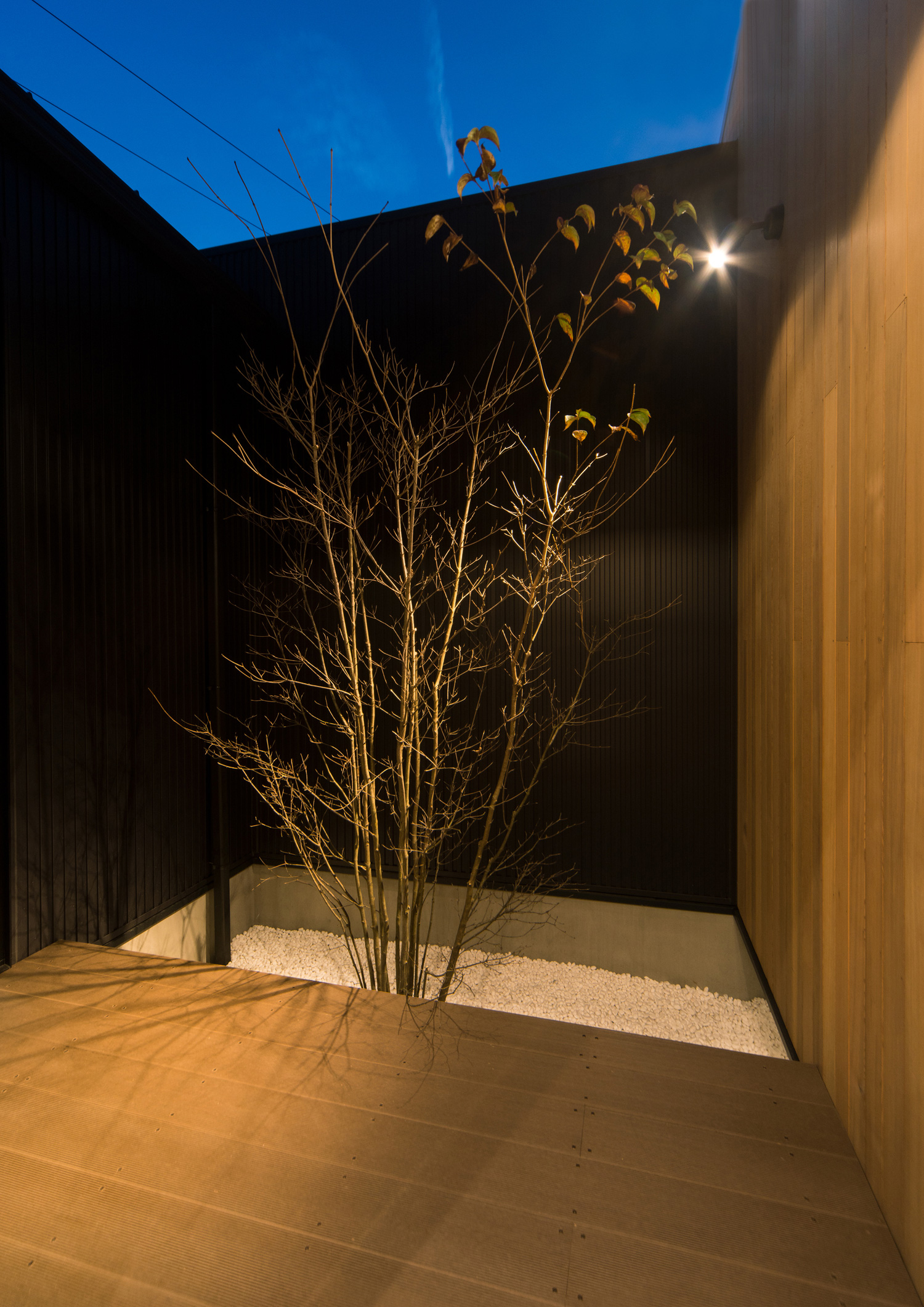 注文住宅・デザイン住宅建築実例_中庭 注文住宅・デザイン住宅建築実例_『CASE472 突き抜ける家』_中庭