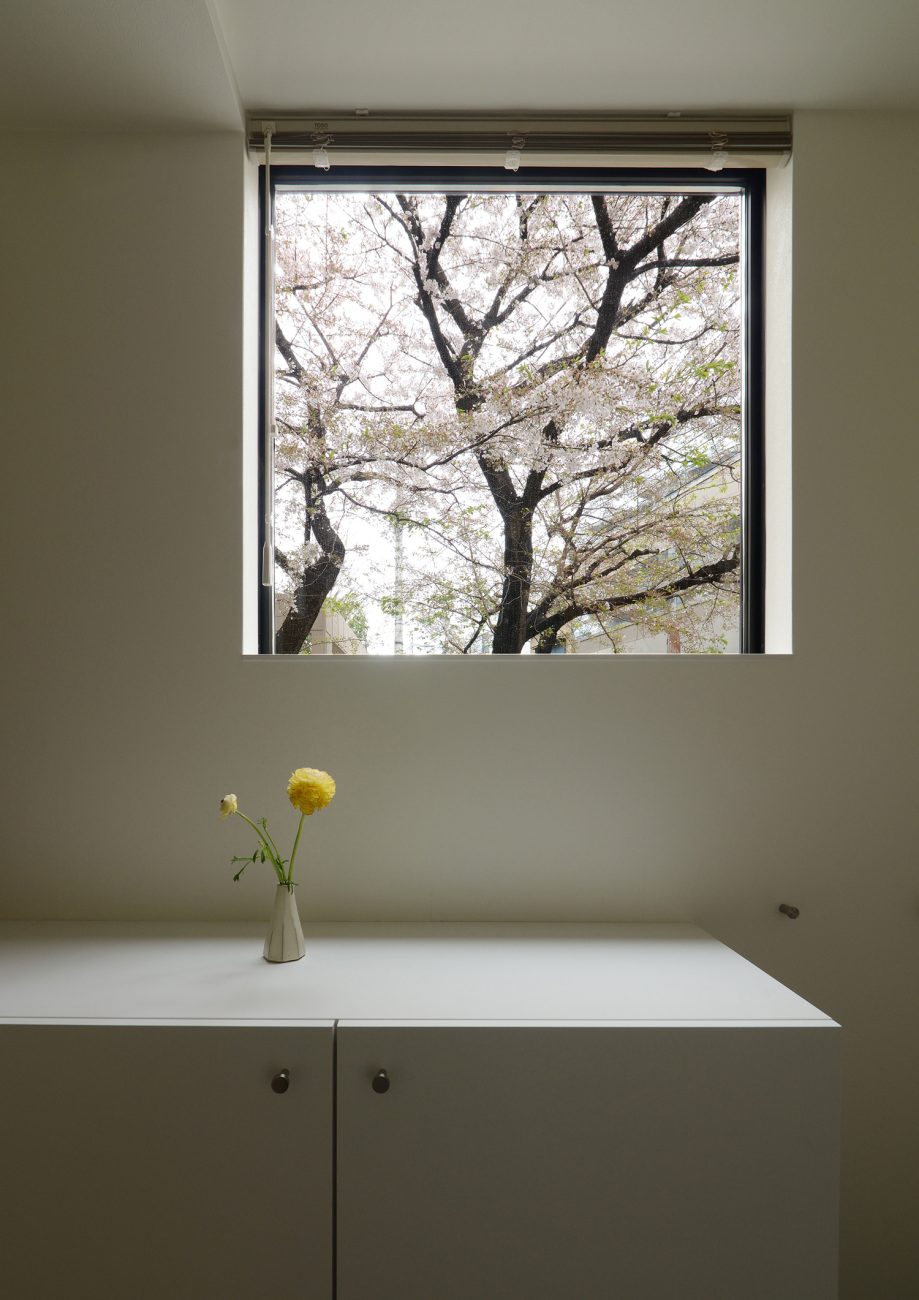 正方形の窓から桜が見えるおしゃれな玄関・デザイン住宅 注文住宅・デザイン住宅建築実例_『CASE461 眺める家』_玄関