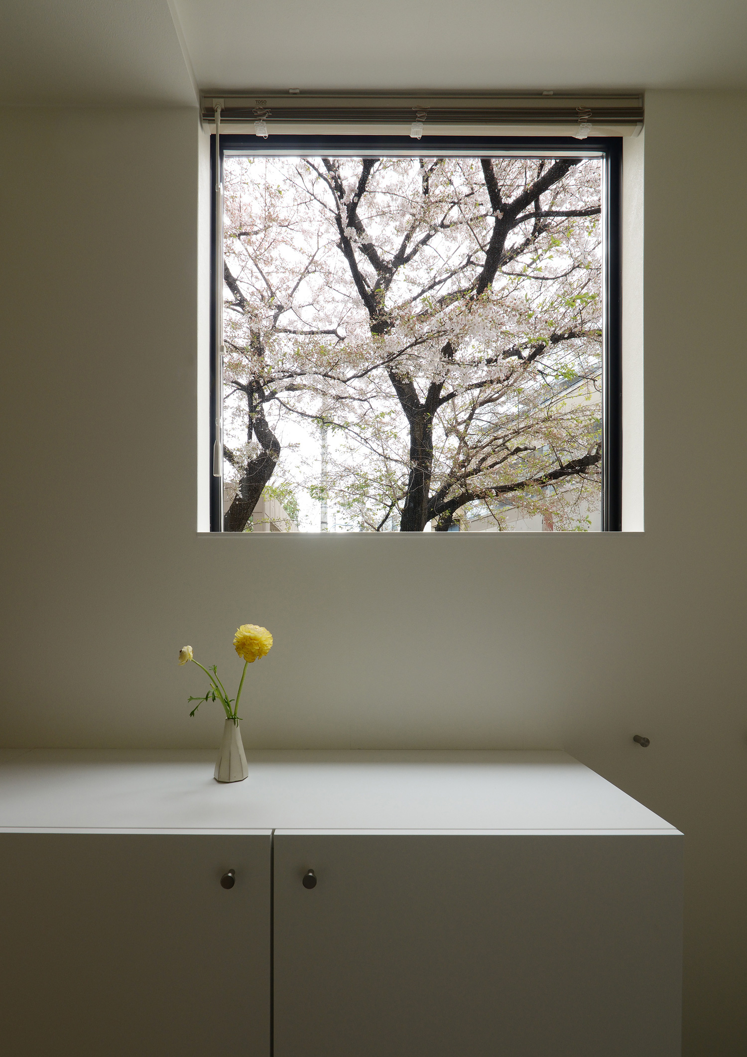 正方形の窓から桜が見えるおしゃれな玄関・デザイン住宅 注文住宅・デザイン住宅建築実例_『CASE461 眺める家』_玄関