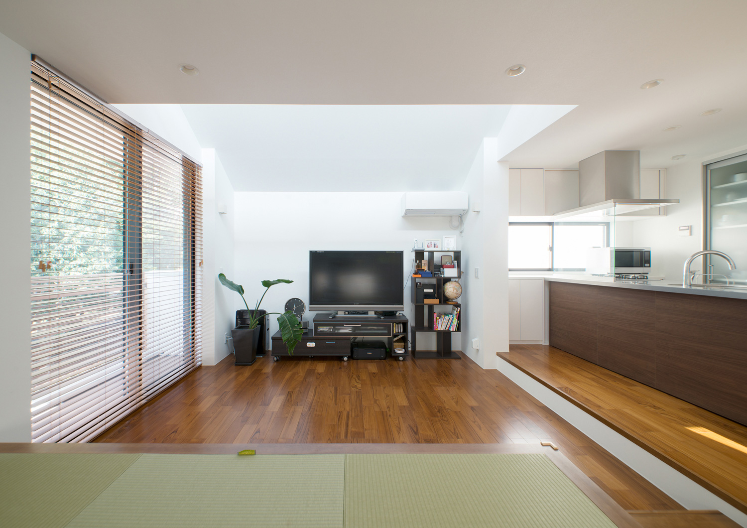 畳スペースがあるダウンリビングのLDK・デザイン住宅 注文住宅・デザイン住宅建築実例_『CASE521 緑地公園に隣接する三角屋根の家』_LDK