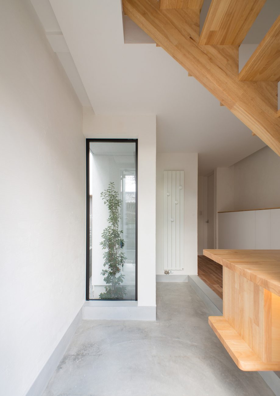 シンボルツリーが見える窓があるモルタルの無機質な玄関・デザイン住宅 注文住宅・デザイン住宅建築実例_『CASE541 寄棟天井のある家』_玄関