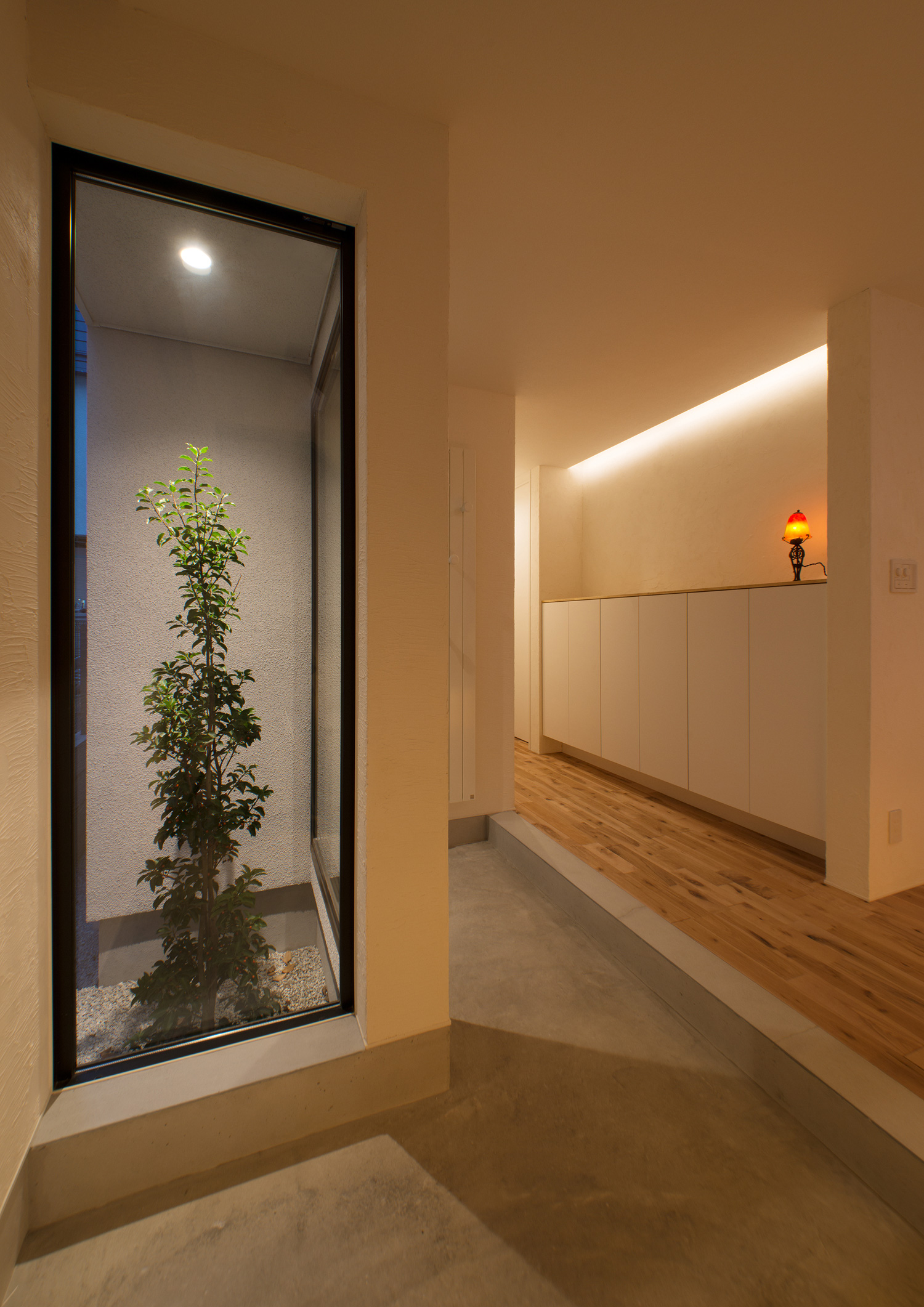 照明に照らされた植栽が見える土間玄関・デザイン住宅 注文住宅・デザイン住宅建築実例_『CASE541 寄棟天井のある家』_玄関