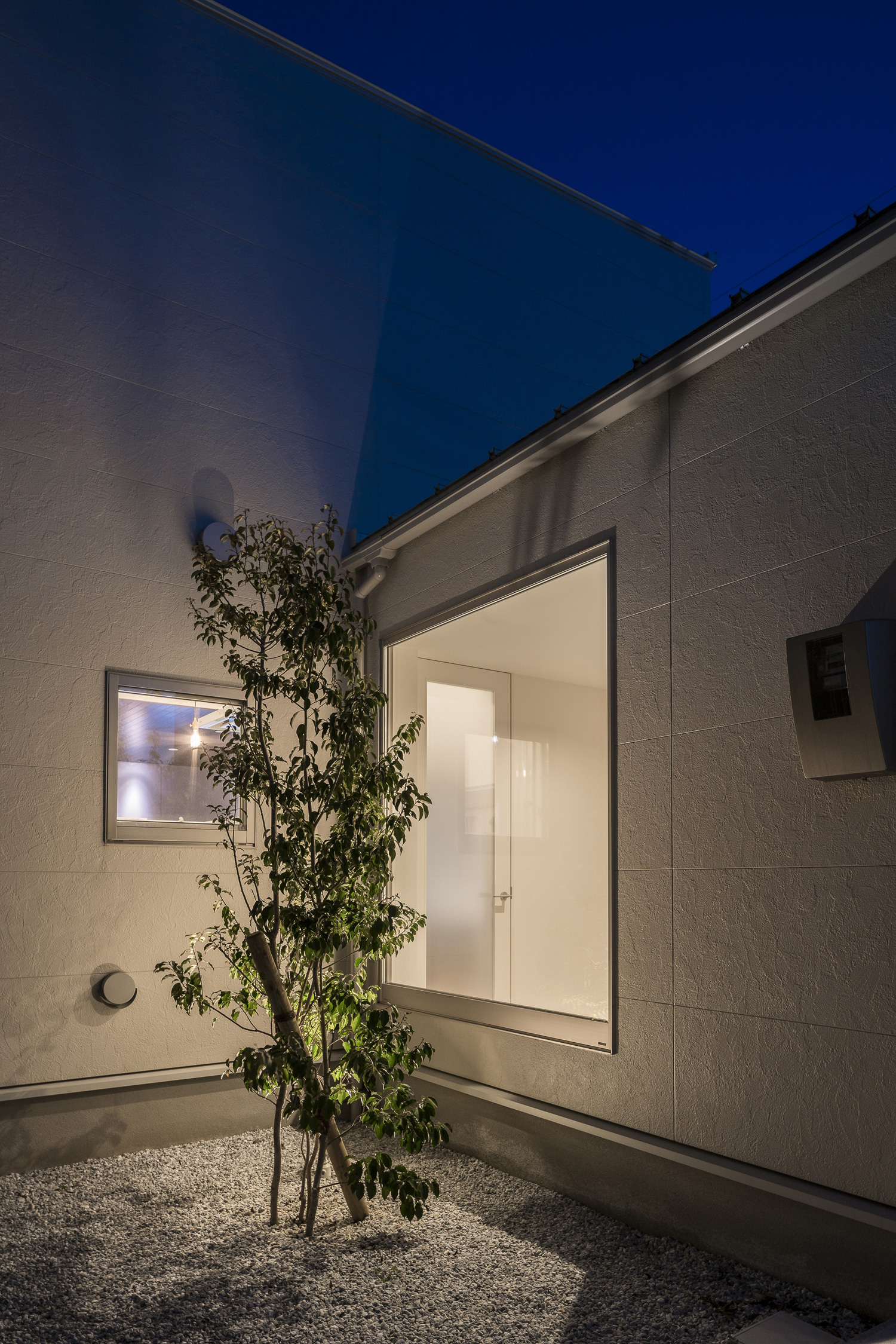 窓のそばにあるライトアップされた植栽・デザイン住宅 注文住宅・デザイン住宅建築実例_『CASE567 lokki』_中庭