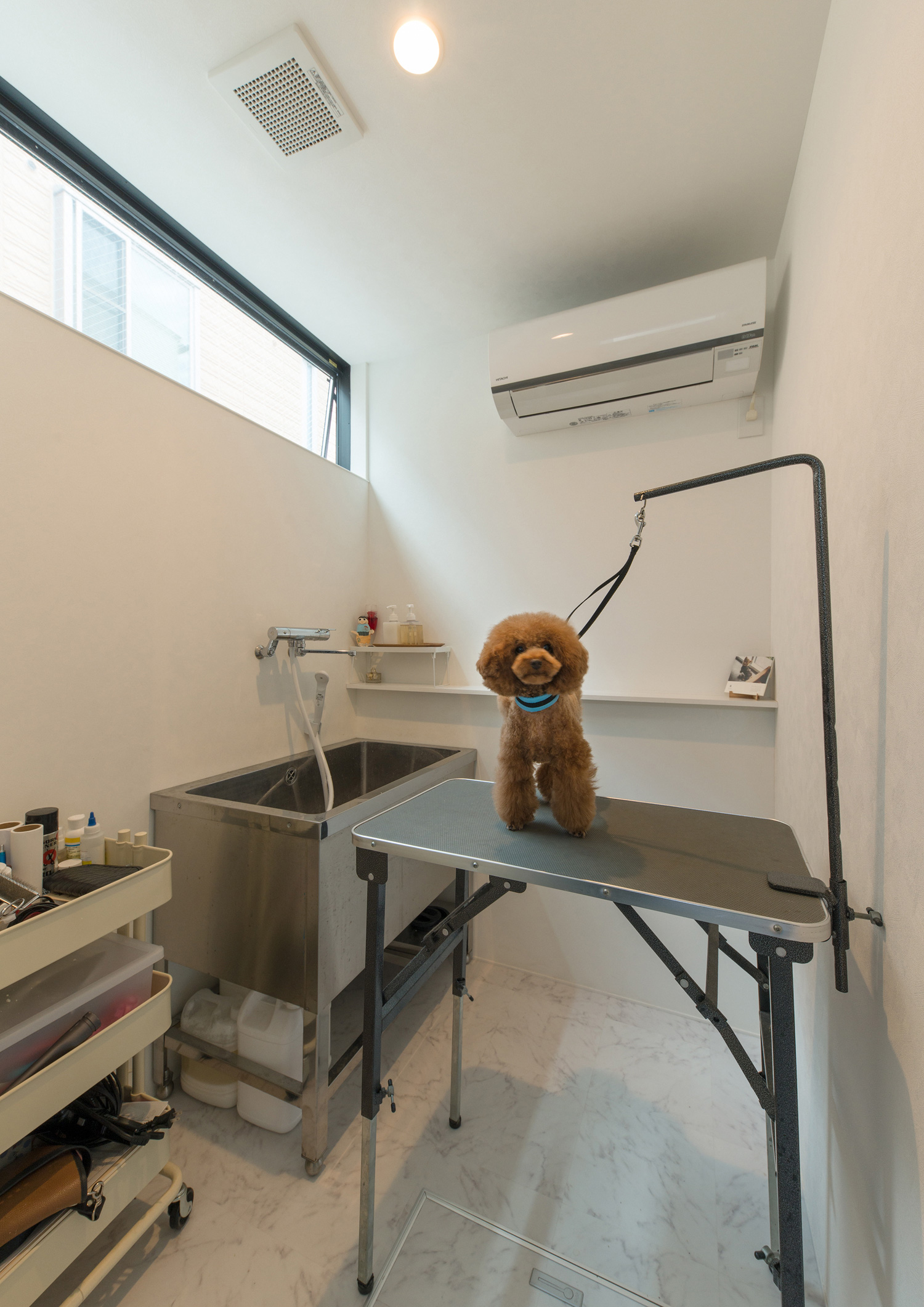 注文住宅・デザイン住宅建築実例 注文住宅・デザイン住宅建築実例_『CASE572 織地の家』_トリミングスペース