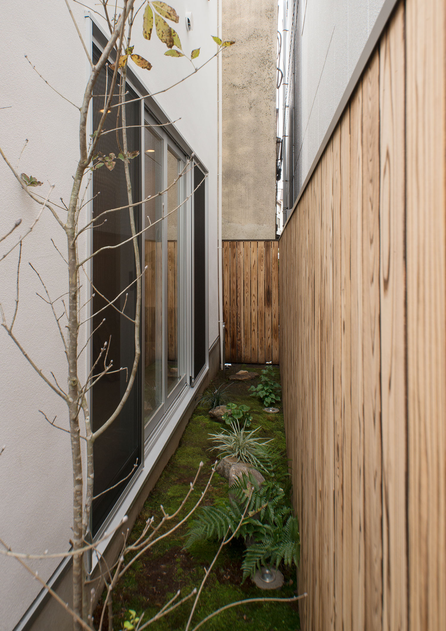 木の目隠し壁が取り付けられたプライベートな庭・デザイン住宅 注文住宅・デザイン住宅建築実例_『CASE487 立方の家』_庭