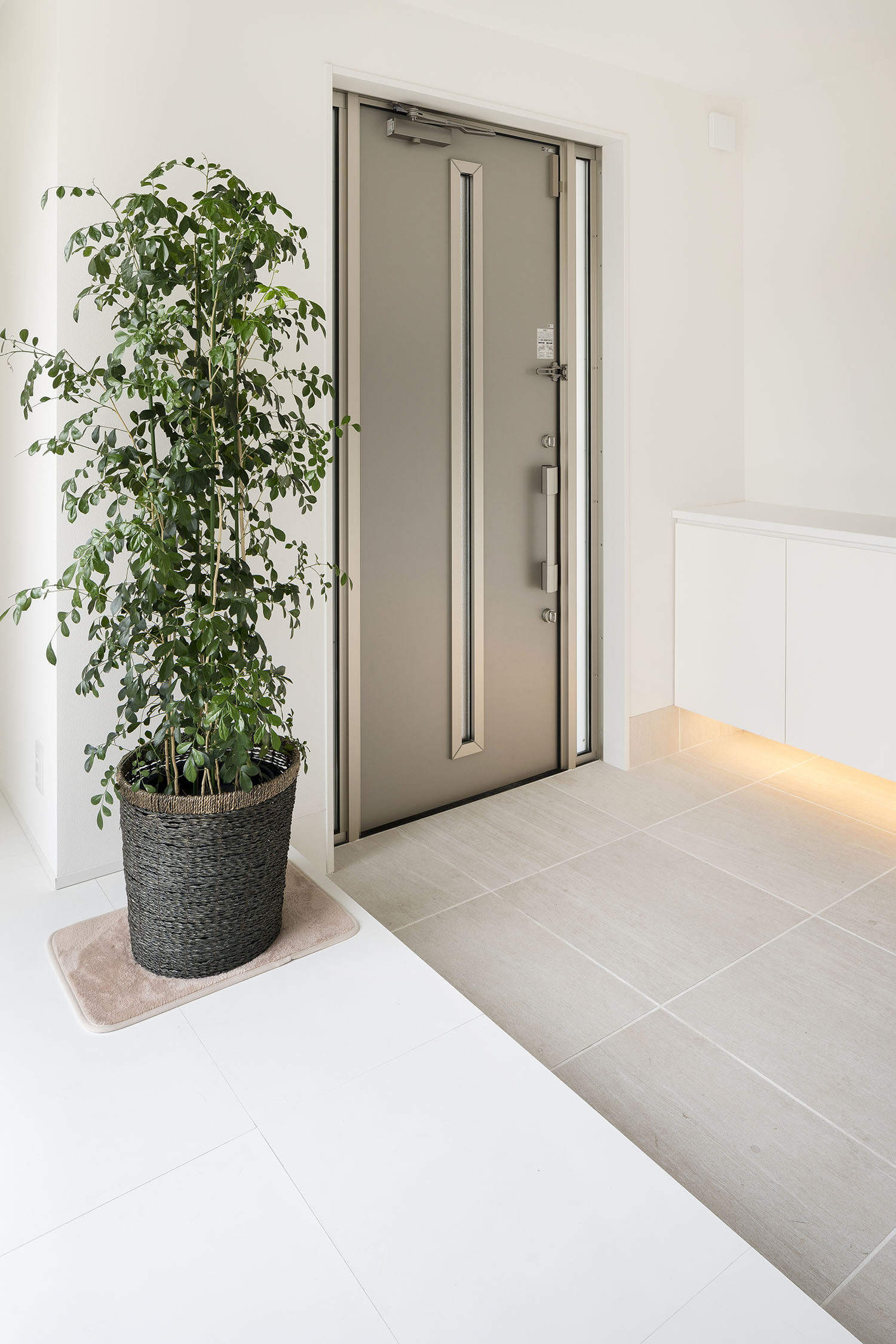 観葉植物がそばにあるタイルの玄関・デザイン住宅 注文住宅・デザイン住宅建築実例_『CASE581 Tcourt』_玄関