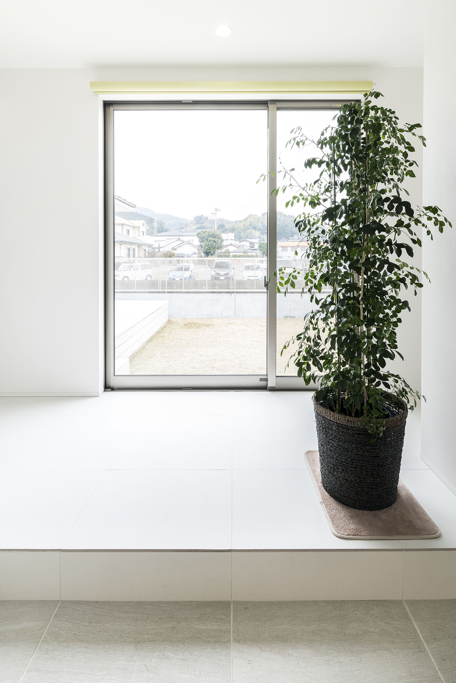 正面に中庭が見える窓や観葉植物がある玄関・デザイン住宅 注文住宅・デザイン住宅建築実例_『CASE581 Tcourt』_玄関