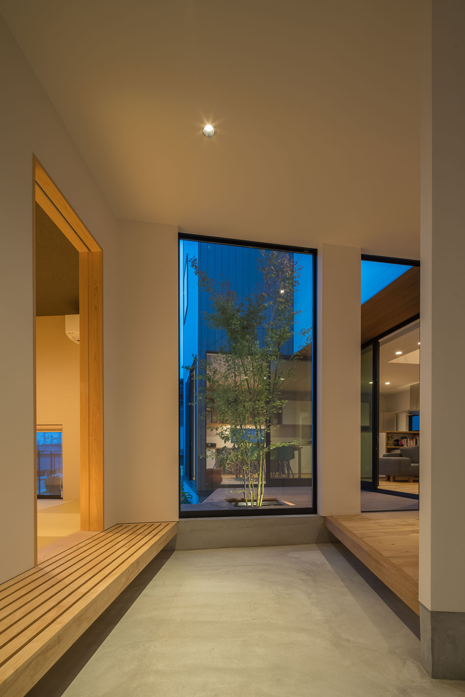 ライトアップされた植栽が見える窓のあるモルタル玄関・デザイン住宅 注文住宅・デザイン住宅建築実例_『CASE505 silhouette』_玄関