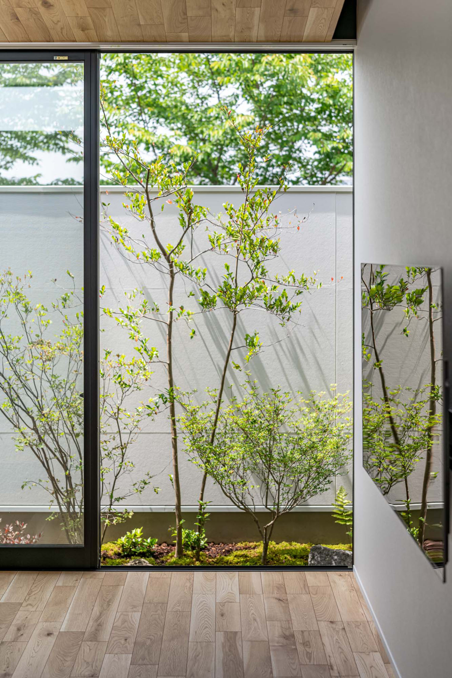 LDKの窓から植栽が見える様子・デザイン住宅 注文住宅・デザイン住宅建築実例_『CASE686 桜並木の平屋』_LDK