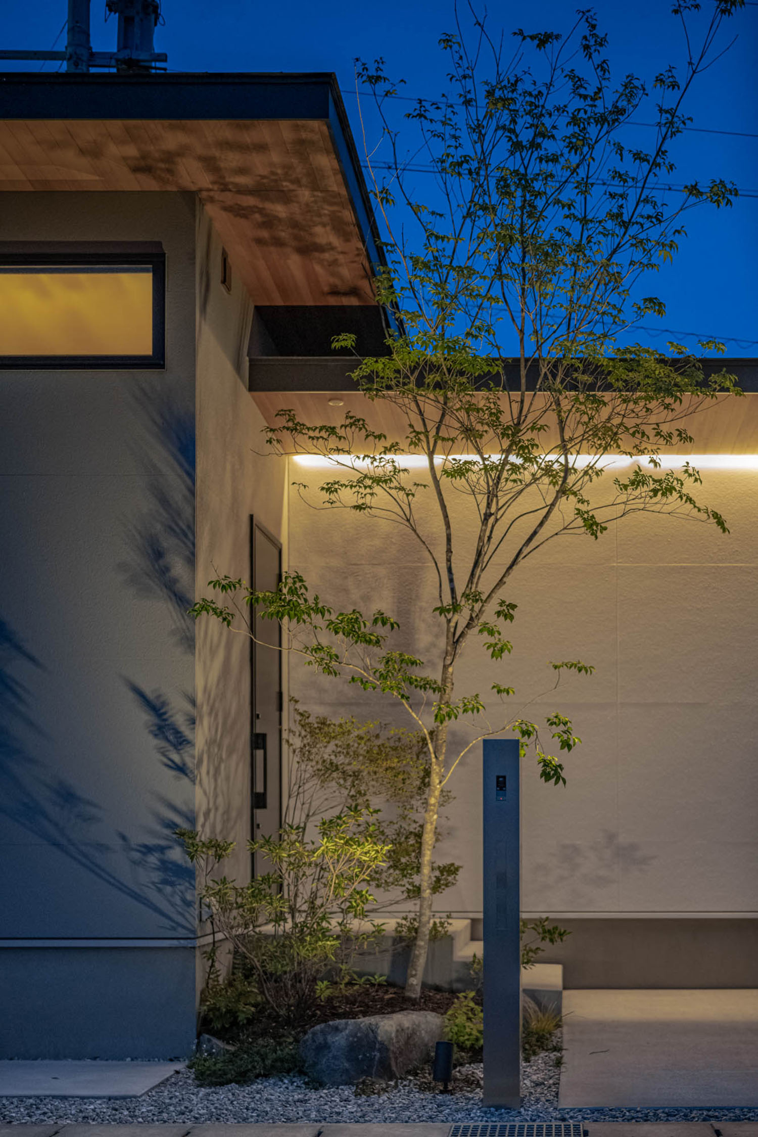 平屋住宅の前に一本の植栽が植えられている様子・デザイン住宅 注文住宅・デザイン住宅建築実例_『CASE686 桜並木の平屋』_外観