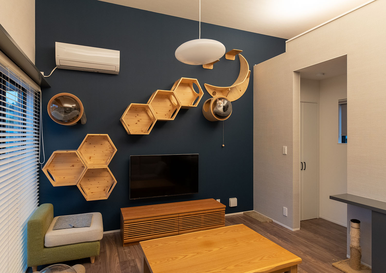 紺色の壁に木製のキャットウォークが取り付けられているLDK・デザイン住宅 注文住宅・デザイン住宅建築実例_『CASE689 猫と寄り添う家』_LDK