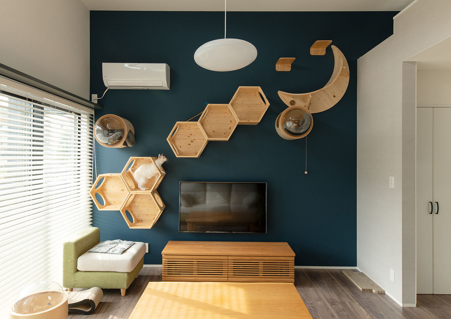 紺色の壁に木製のキャットウォークが取り付けられているLDK・デザイン住宅 注文住宅・デザイン住宅建築実例_『CASE689 猫と寄り添う家』_LDK