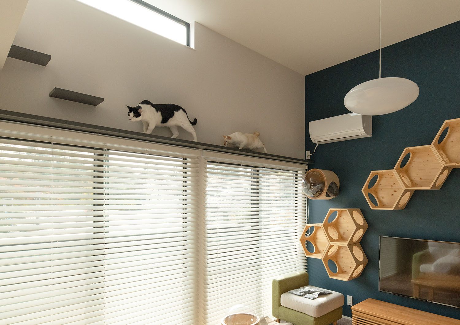 窓の上に設けられたキャットウォークを猫があるいているLDK・デザイン住宅 注文住宅・デザイン住宅建築実例_『CASE689 猫と寄り添う家』_LDK