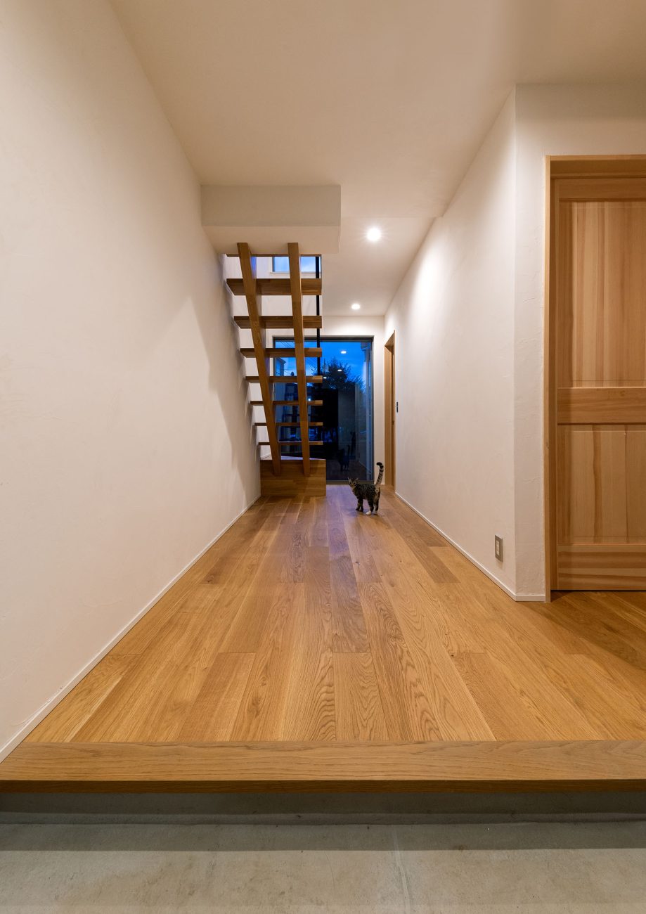 フローリングと漆喰壁の廊下に猫がいる・デザイン住宅 注文住宅・デザイン住宅建築実例_『CASE690 質感にこだわった完成を楽しむ家』_玄関