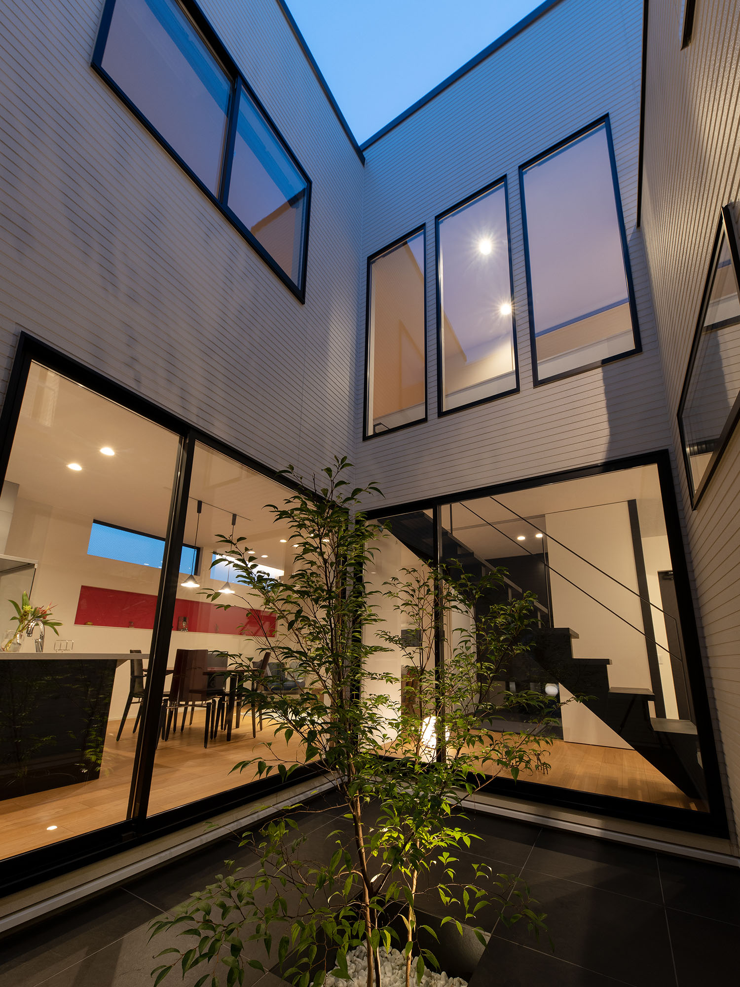 シンボルツリーが照明によって照らされている中庭・デザイン住宅 注文住宅・デザイン住宅建築実例_『CASE693 "CONNECT"』_中庭