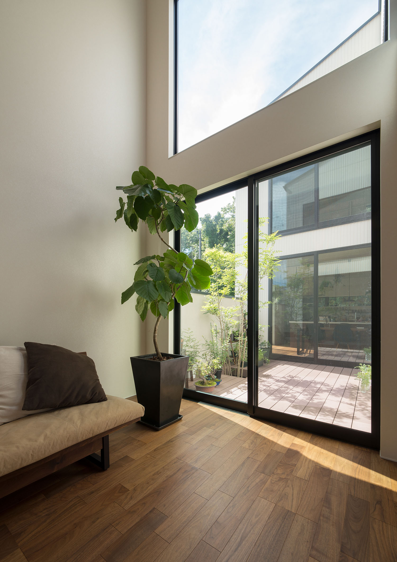 中庭に通じる窓のそばに観葉植物が置かれている・デザイン住宅 注文住宅・デザイン住宅建築実例_『CASE696 tongari house』_LDK