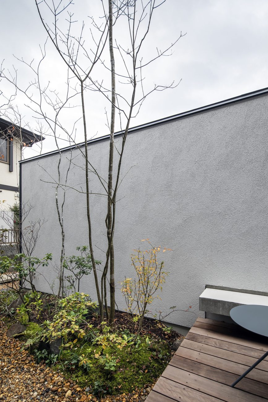 目隠しの白い壁が建てられた、植栽のあるウッドデッキのテラス・デザイン住宅 注文住宅・デザイン住宅建築実例_『CASE698 「景の家」』_中庭