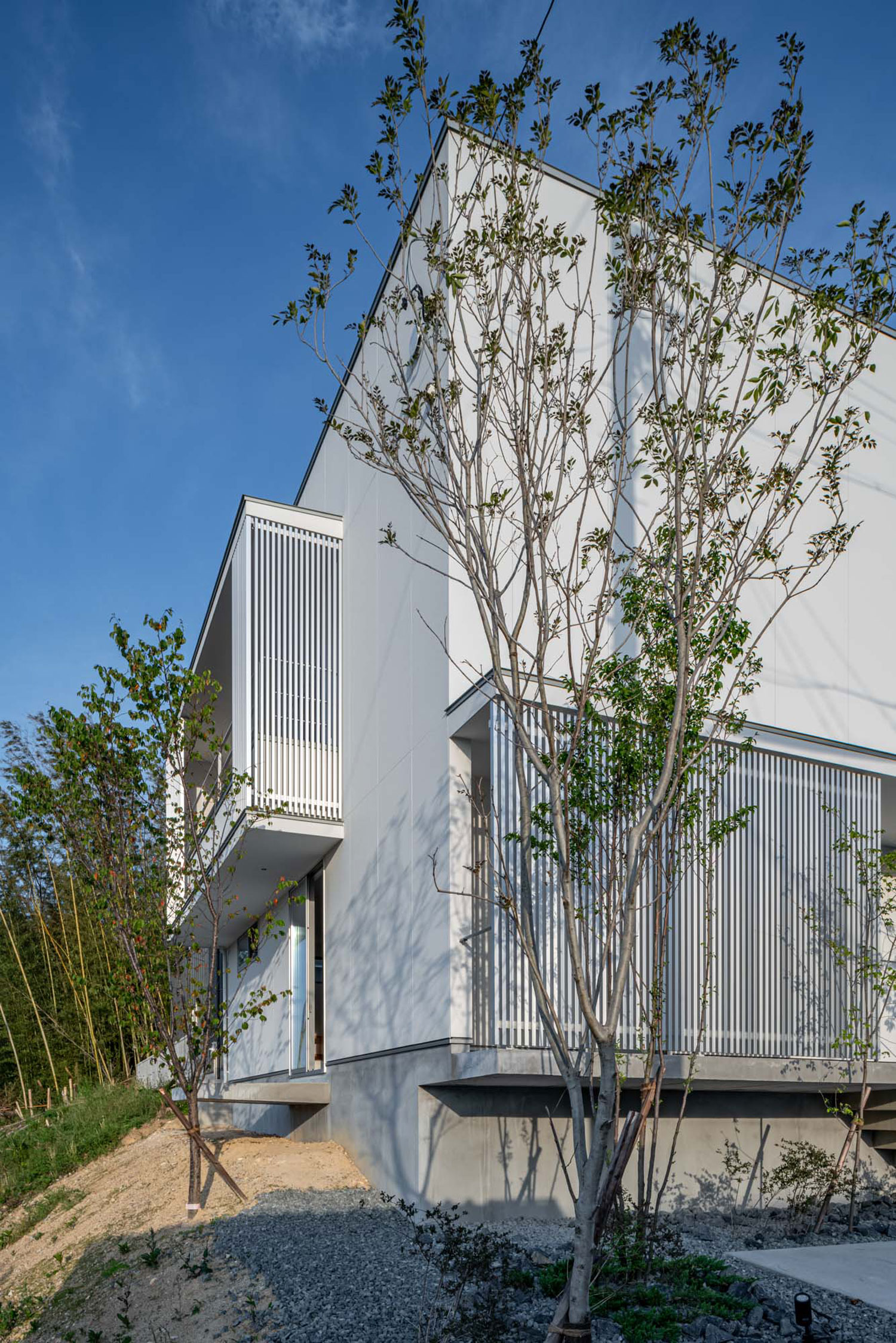 周囲に植栽が植えられ、ルーバーの目隠しがある住宅・フリーダムアーキテクツの事例 注文住宅・デザイン住宅建築実例_『CASE704 with a view』_外観