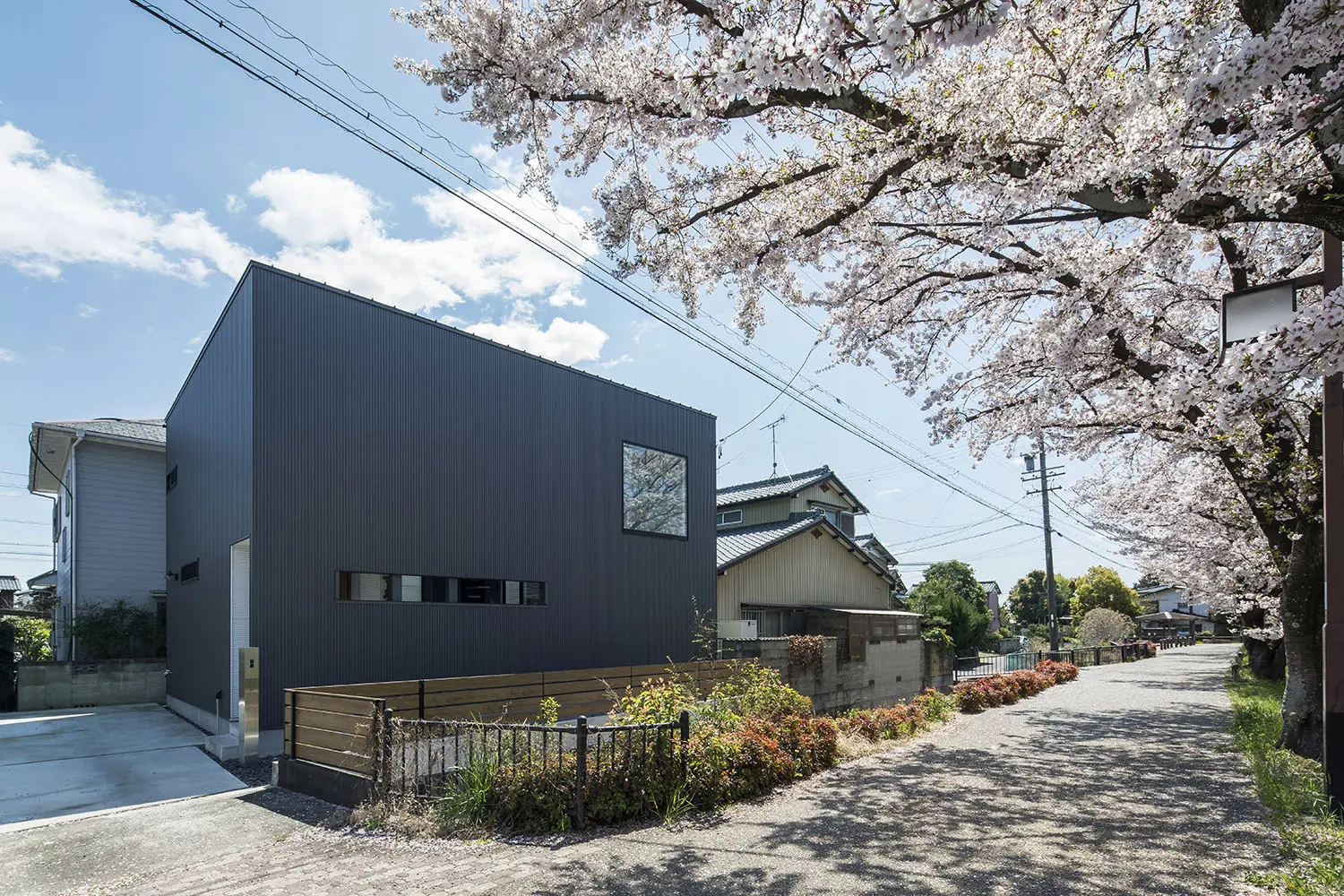 桜並木の横に建つ狭小住宅の外観