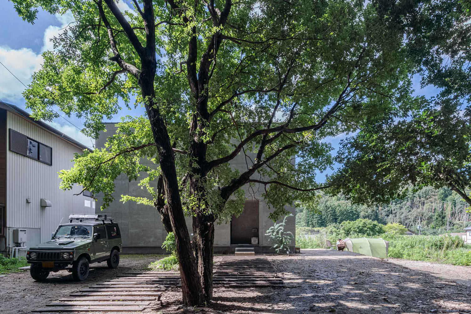 大きな木が目の前にある家・フリーダムアーキテクツの事例 注文住宅・デザイン住宅建築実例_『CASE707 IGNIS』_外観