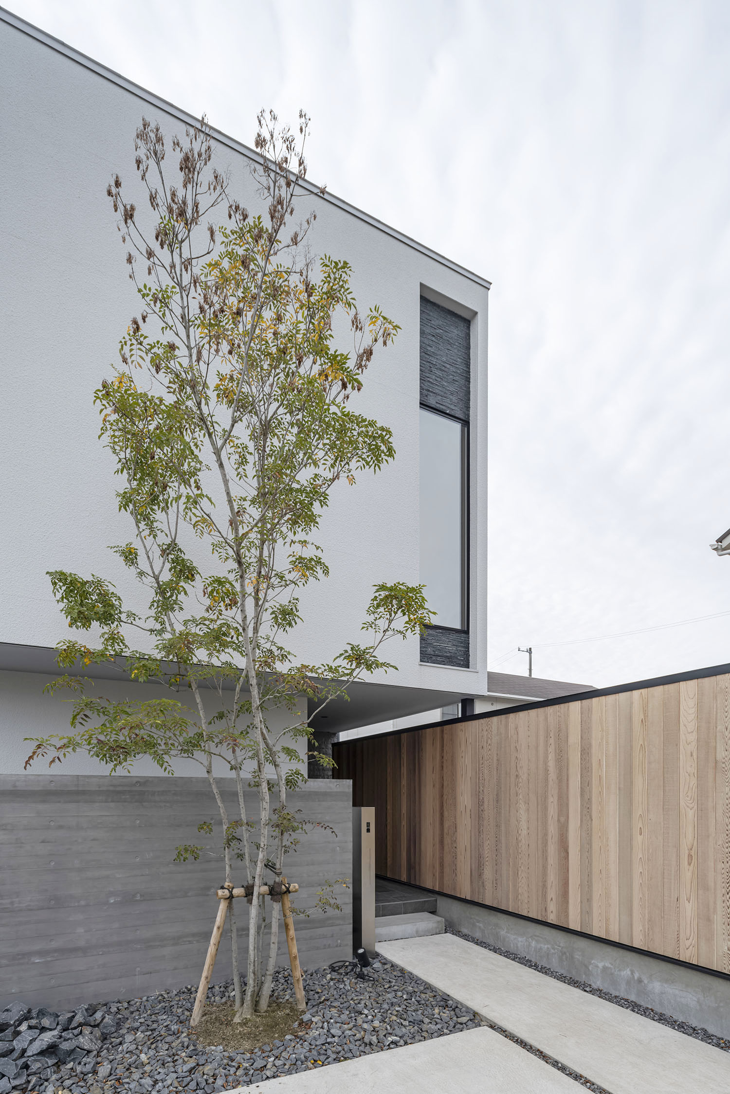 シンボルツリーがアクセントとなった外観・フリーダムアーキテクツの事例 注文住宅・デザイン住宅建築実例_『CASE709 sumika』_外観