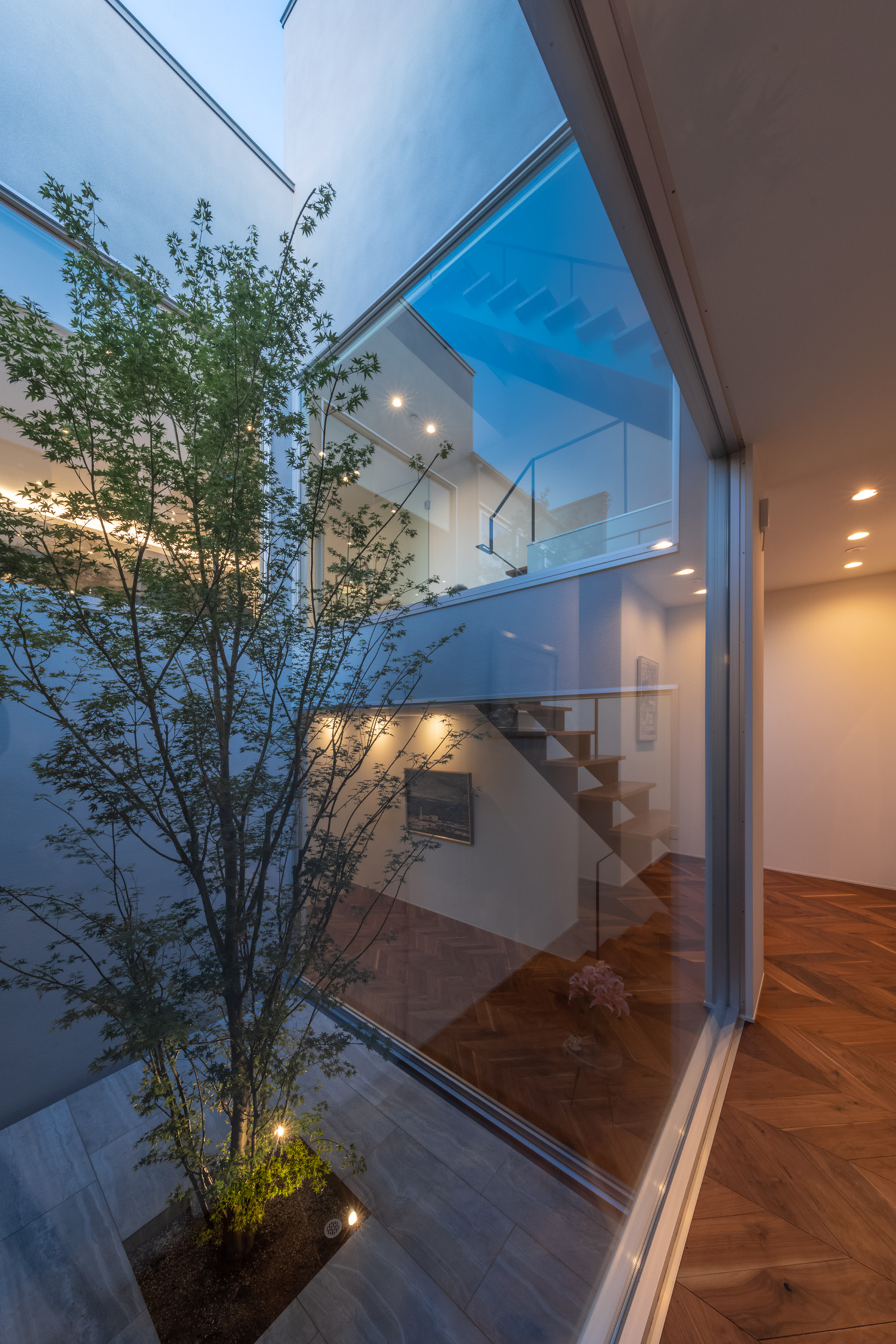 注文住宅・中庭・ガラス張り・シンボルツリー・ヘリンボーンの床 注文住宅・デザイン住宅建築実例_『CASE727 ライトコートハウス』_中庭