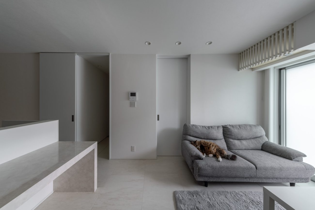 白とグレーを基調としたLDKにあるソファーの上で猫が寝ている・デザイン住宅 注文住宅・デザイン住宅建築実例_『CASE749 dignified housing』_LDK