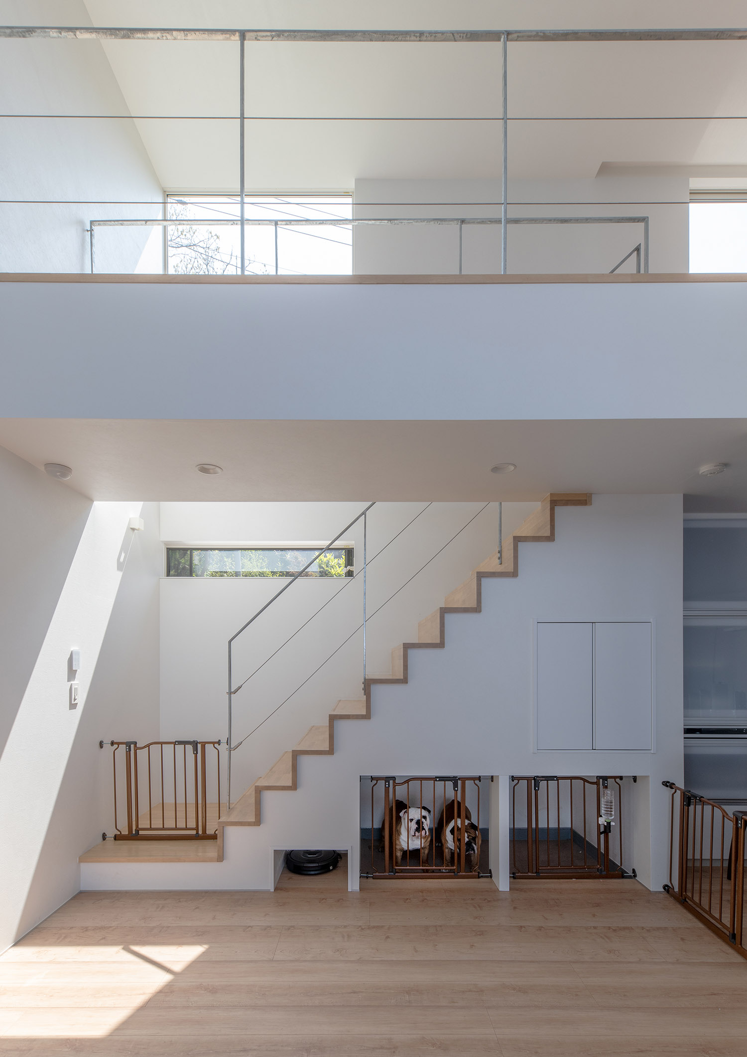 箱型階段の下にペットスペースを設けた吹き抜けのLDK・デザイン住宅 注文住宅・デザイン住宅建築実例_『CASE762 Nature NaturalHOUSE』_LDK