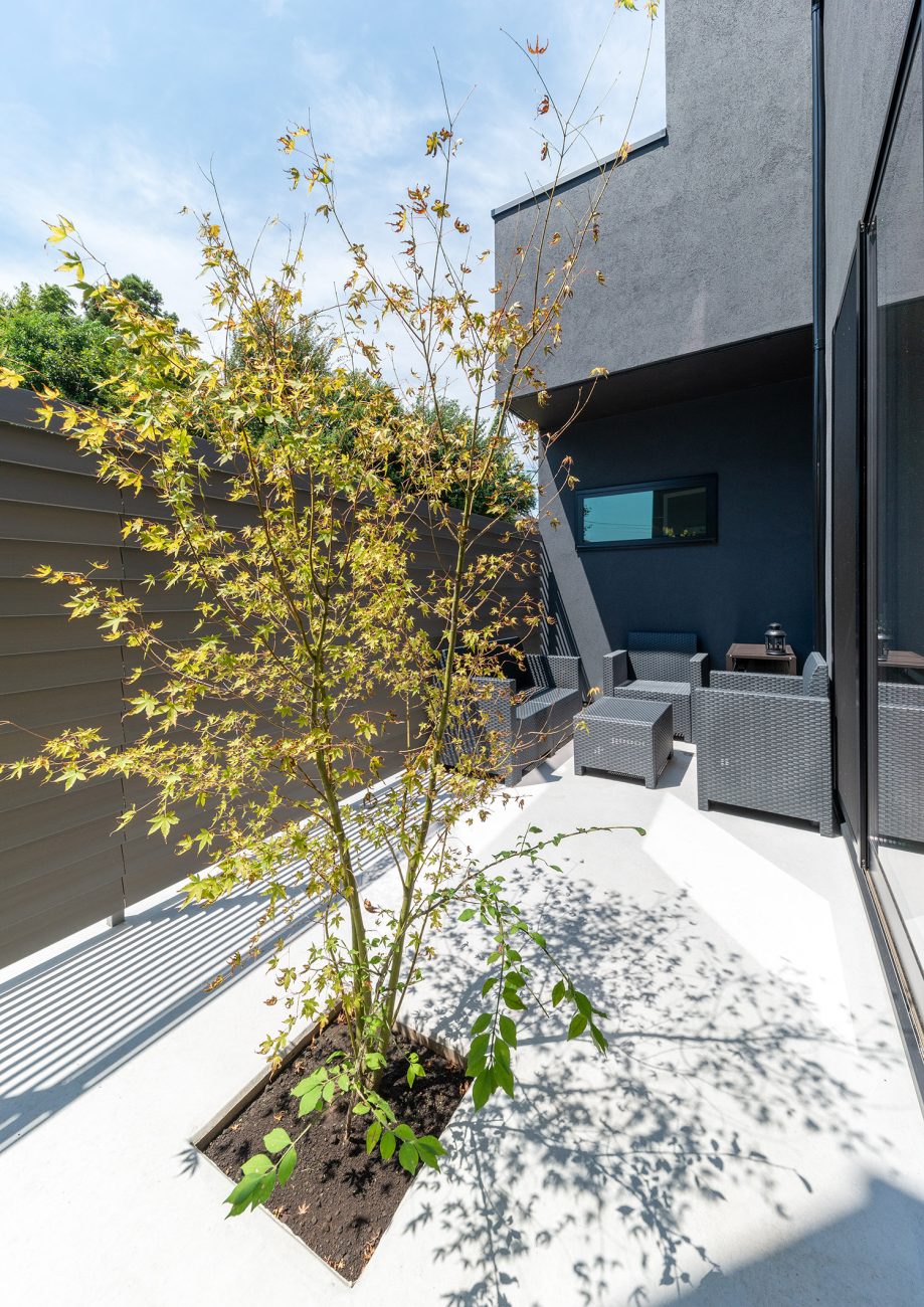 シンボルツリーが中心にあるプライベートな中庭・デザイン住宅 注文住宅・デザイン住宅建築実例_『CASE763 ソト黒ウチ白』_中庭