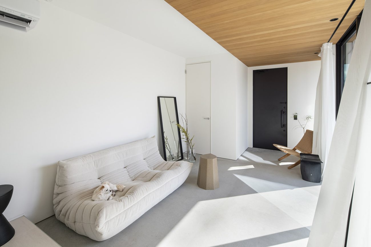 木目の天井があるシンプルで広いモルタルの土間玄関・デザイン住宅 注文住宅・デザイン住宅建築実例_『CASE768 Living with light』_玄関